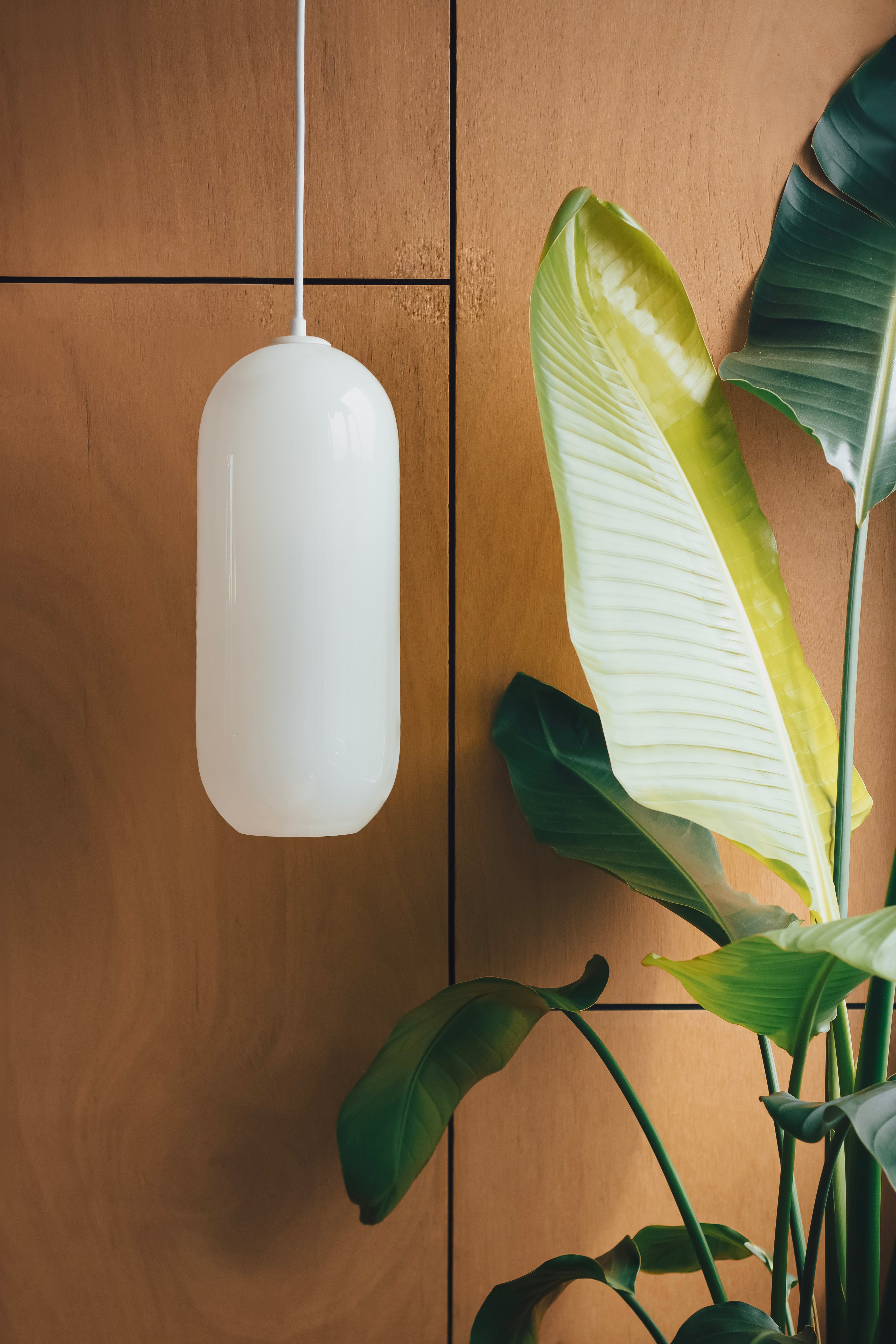 Capsule | Pendant Light