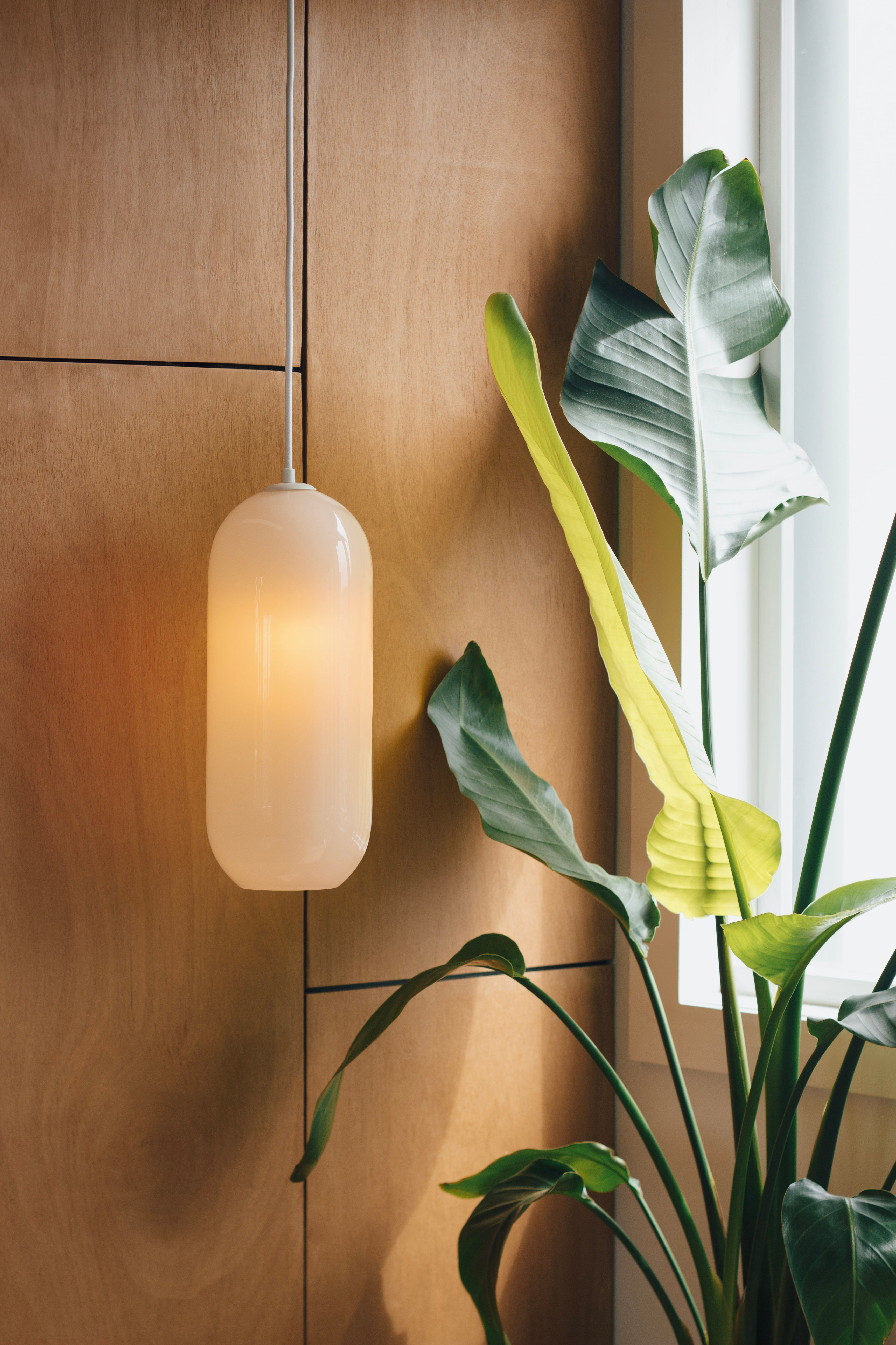 Capsule | Pendant Light