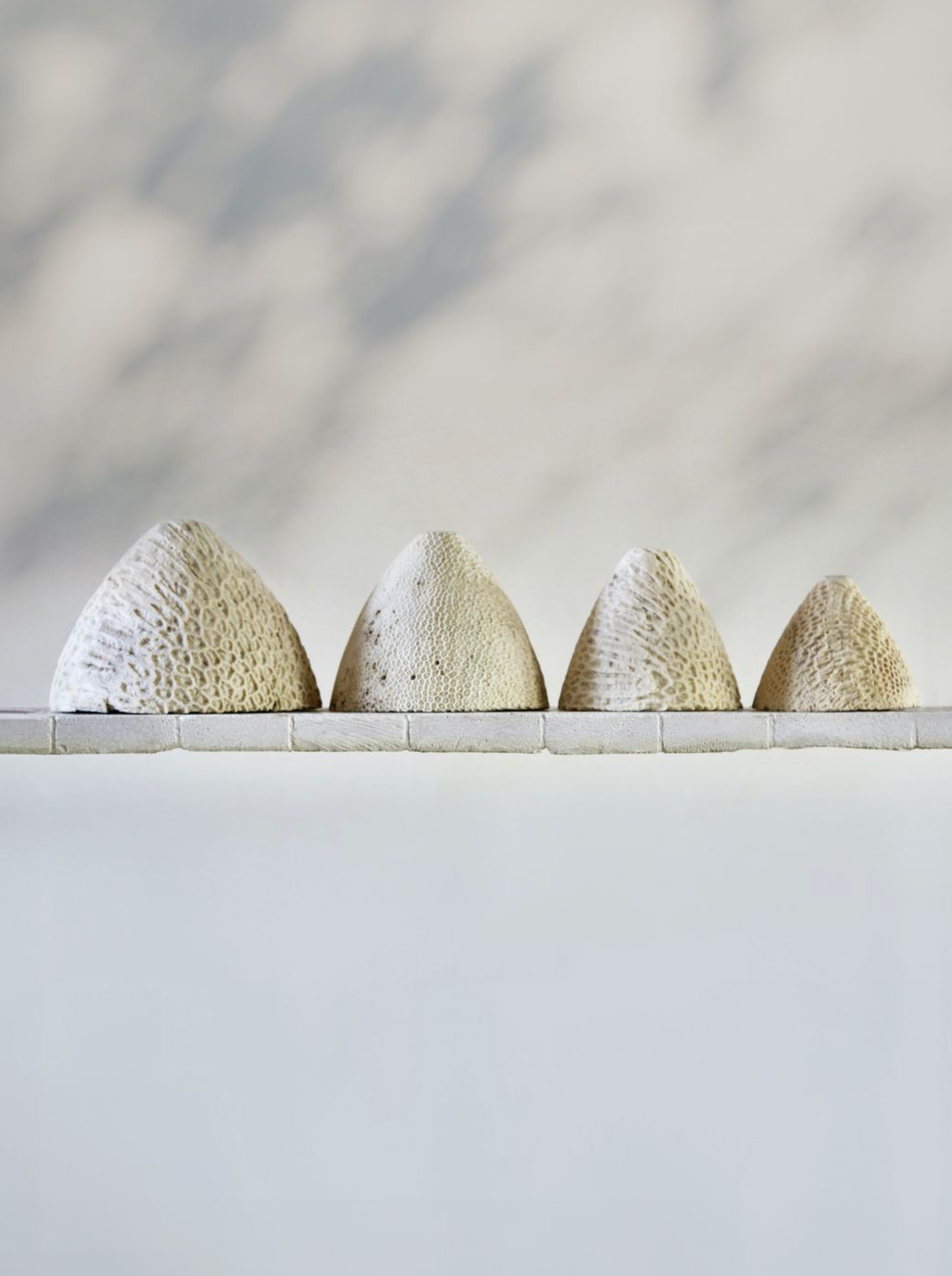 Fossil Coral Arc Cone Wall Light by Marovo Island Traders - size comparison Small to X Large