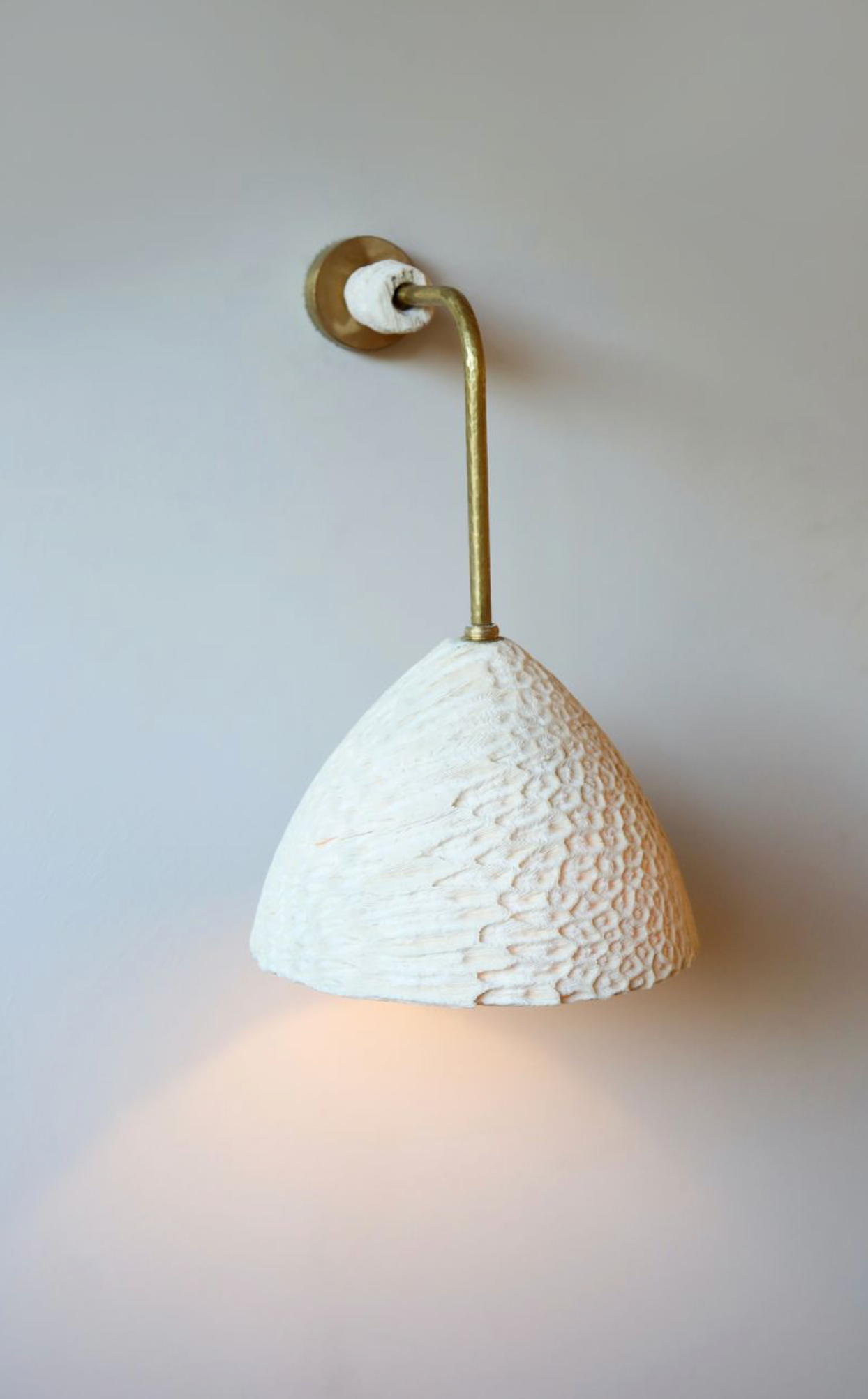 Fossil Coral Arc Cone Wall Light by Marovo Island Traders - product overview shot