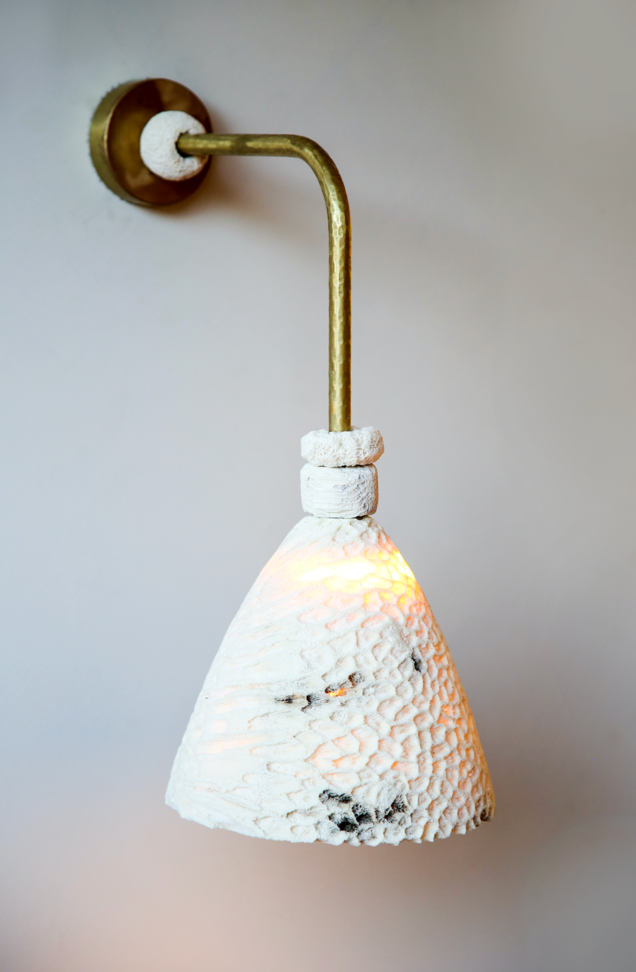 Fossil Coral Arc Cone Wall Light by Marovo Island Traders - side profile on plain background