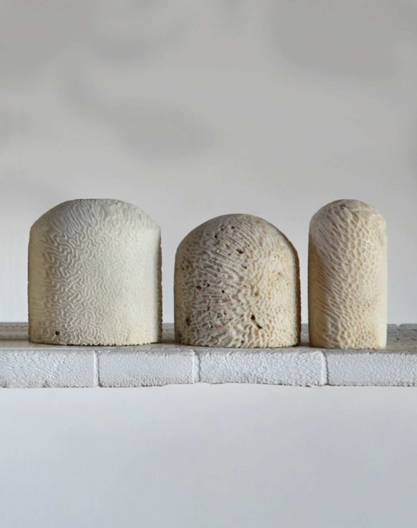 Three textured fossil coral cylinder light shades on a light grey surface with a plain background
