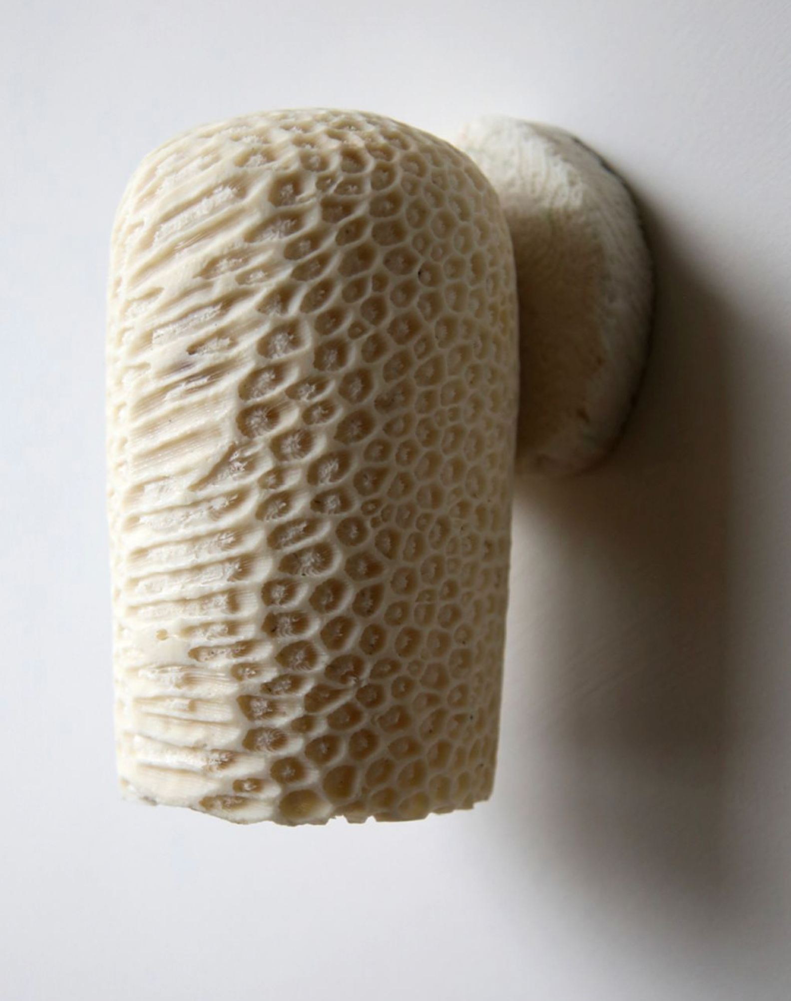 Close-up of a textured ceramic wall light on a white background