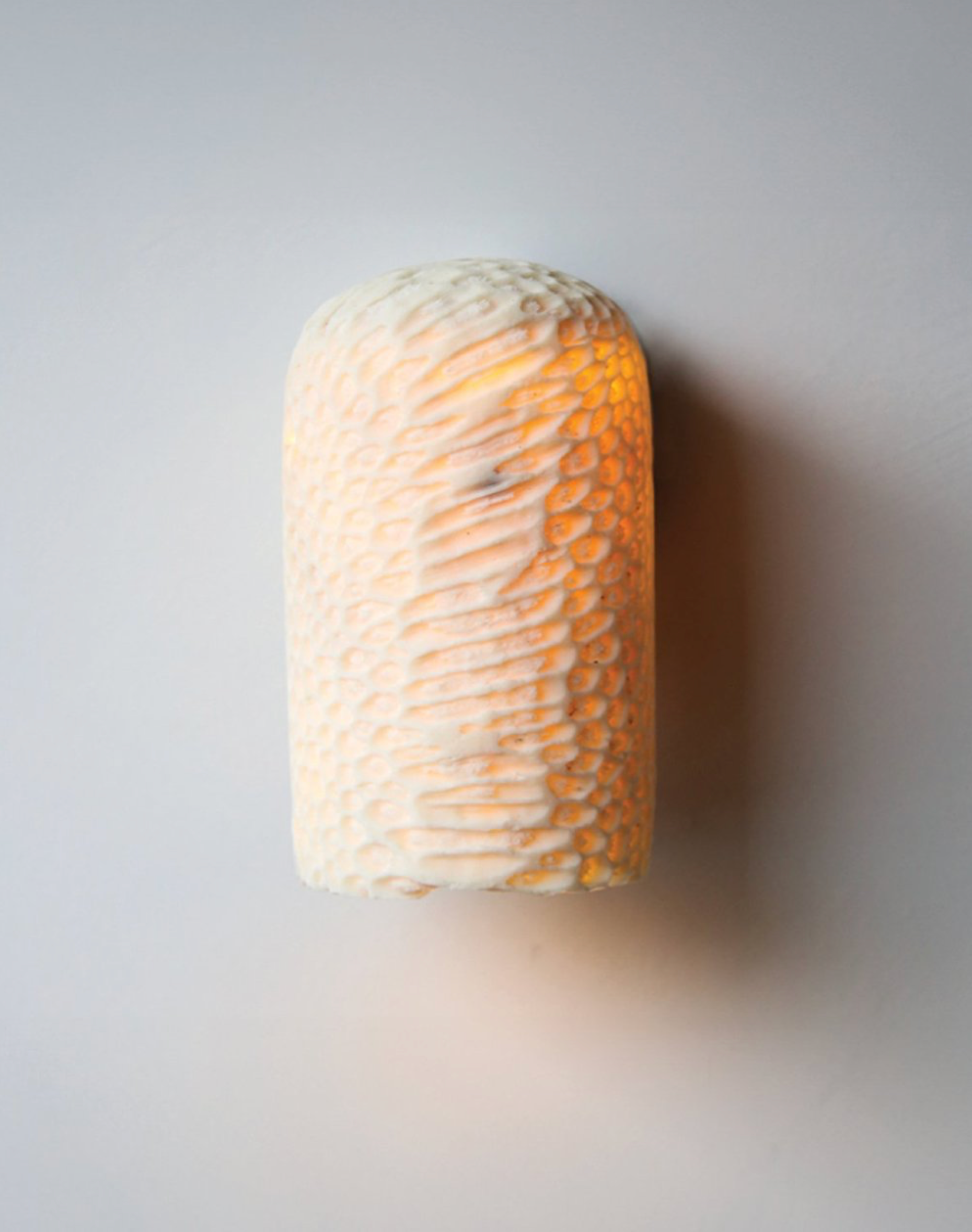 Cylindrical ceramic light fixture on a plain background