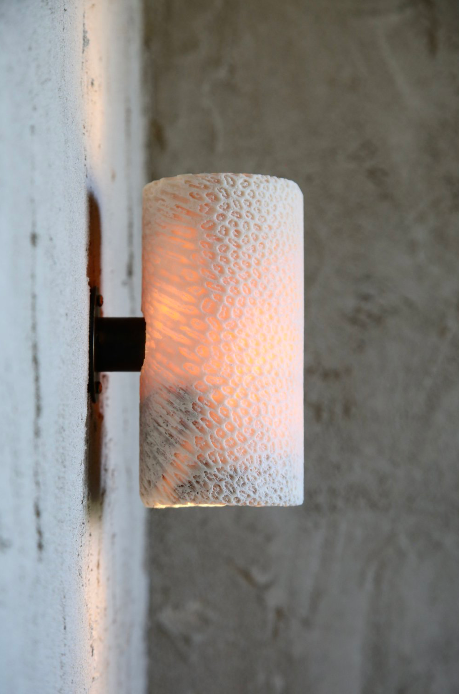 Frosted fossil coral wall sconce on a textured wall