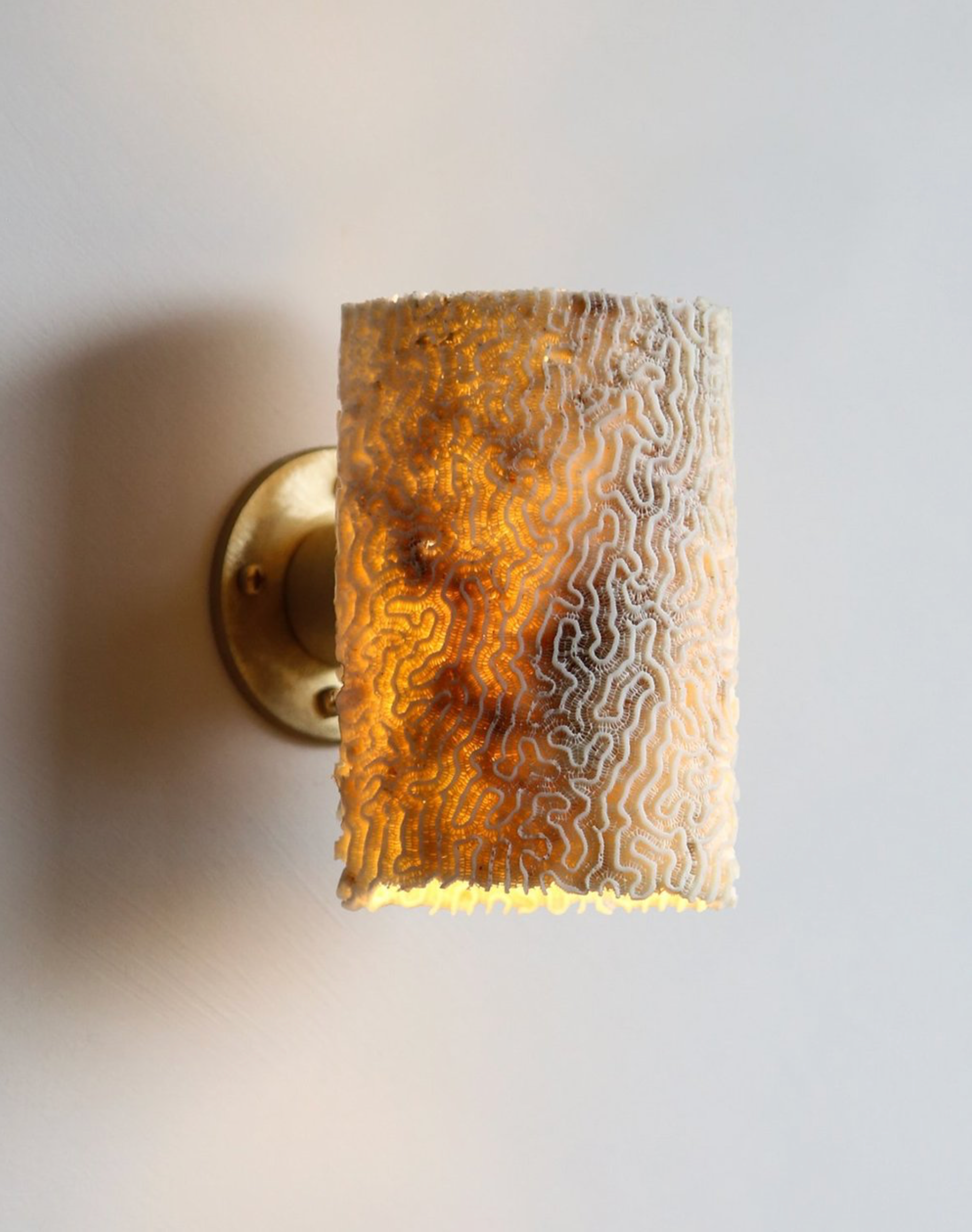 Wall-mounted wall light fixture with textured coral fossil shade on a plain background