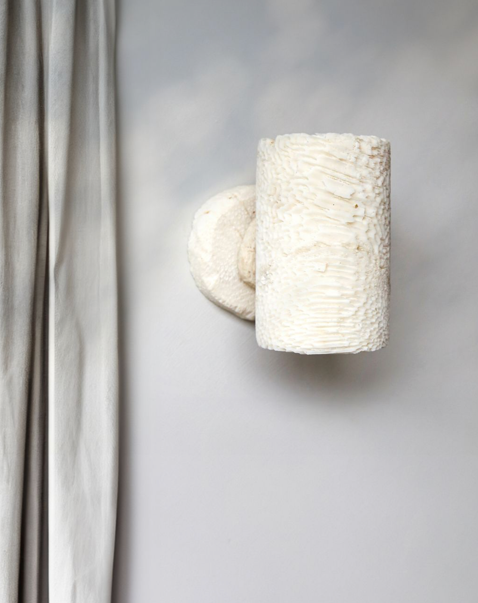 Textured fossil wall sconce on a neutral background