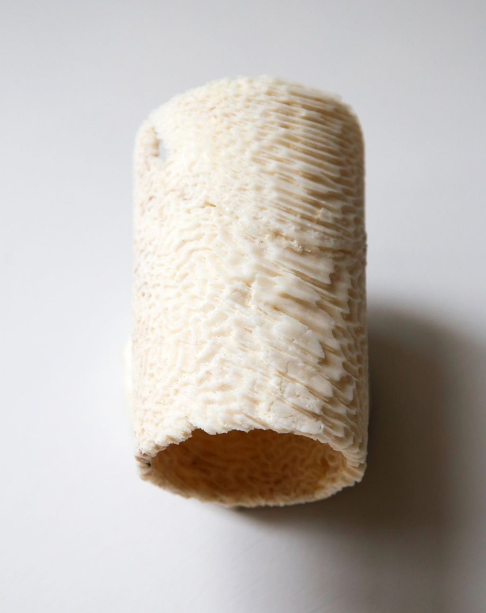 Textured coral cylindrical wall light on a light grey background