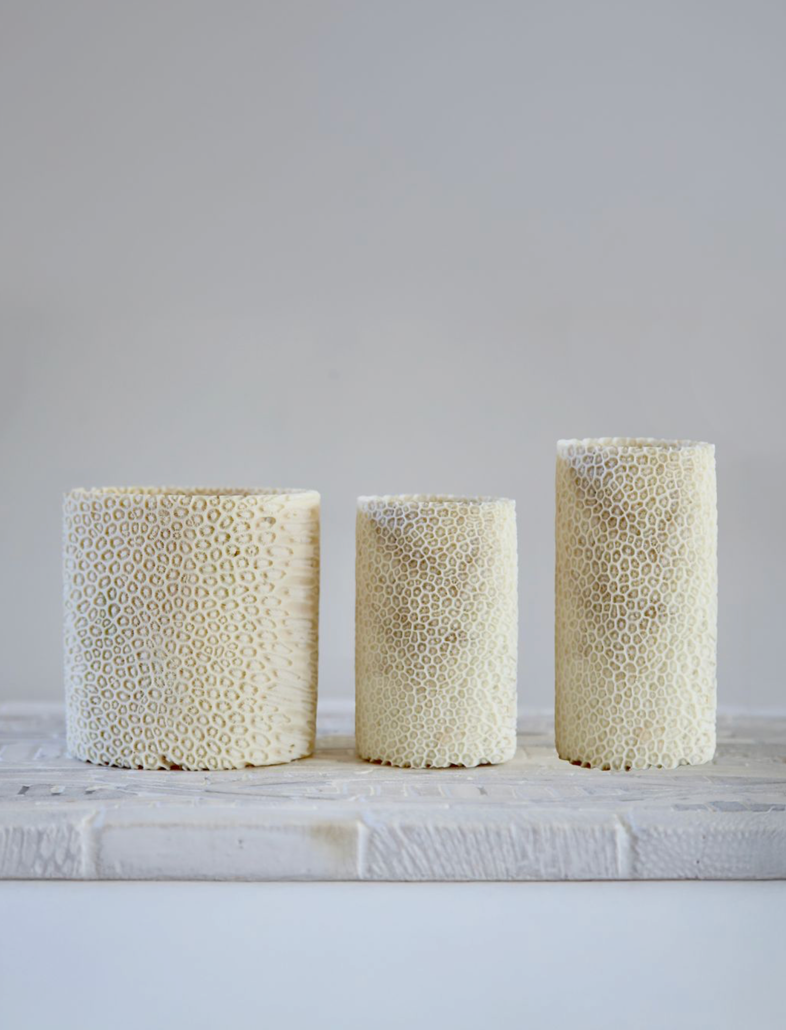 Three textured fossil coral wall lights on a wooden surface with a light grey background