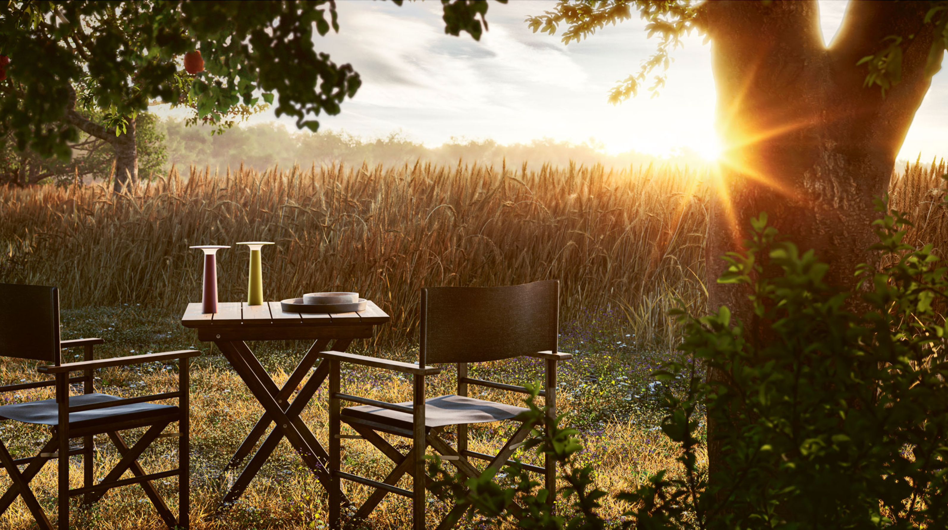 Outdoor setting with a table and chairs under a tree, sun shining through, and field in the background
