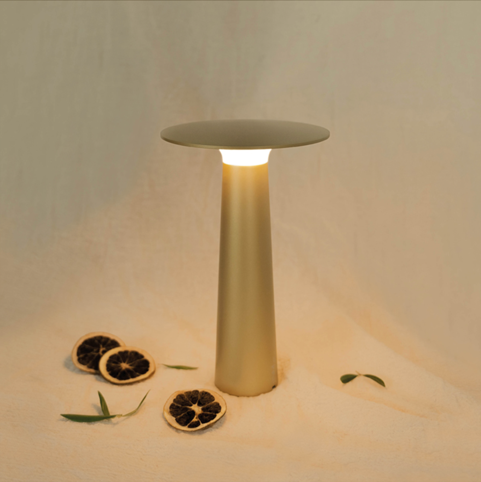 Small round table light on a plain background