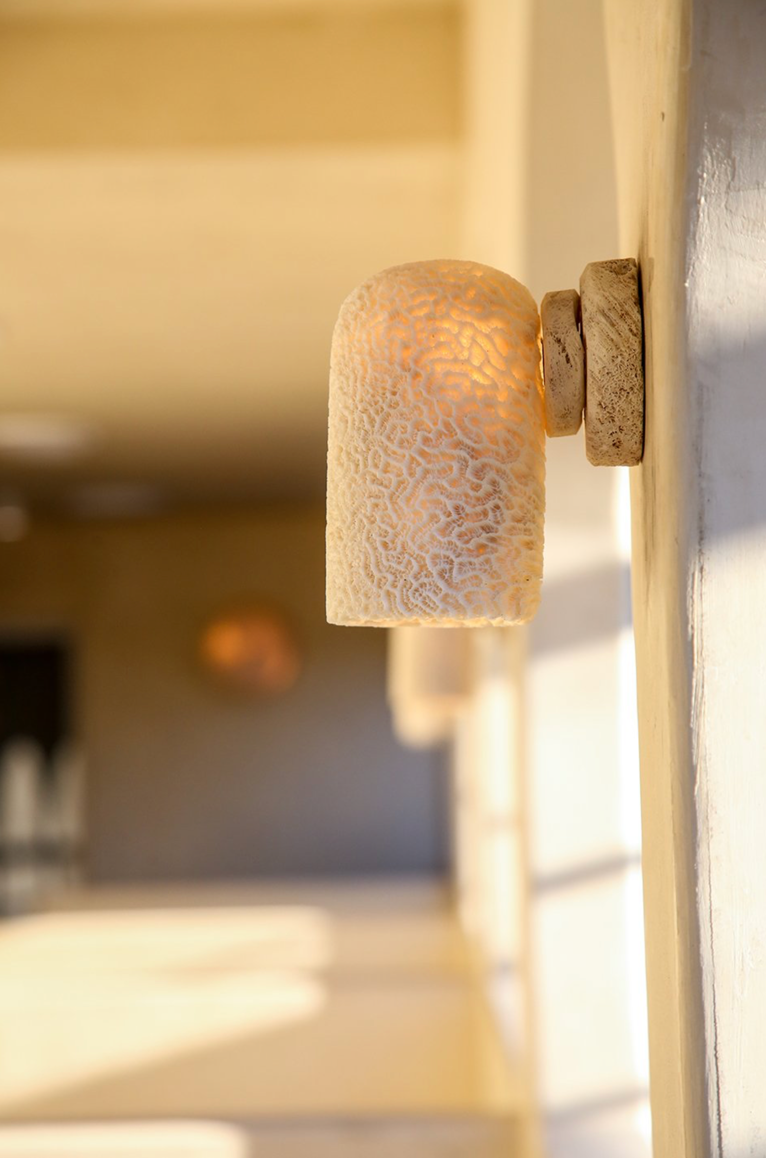Coral fossil wall light fixture on a wall with a blurred background