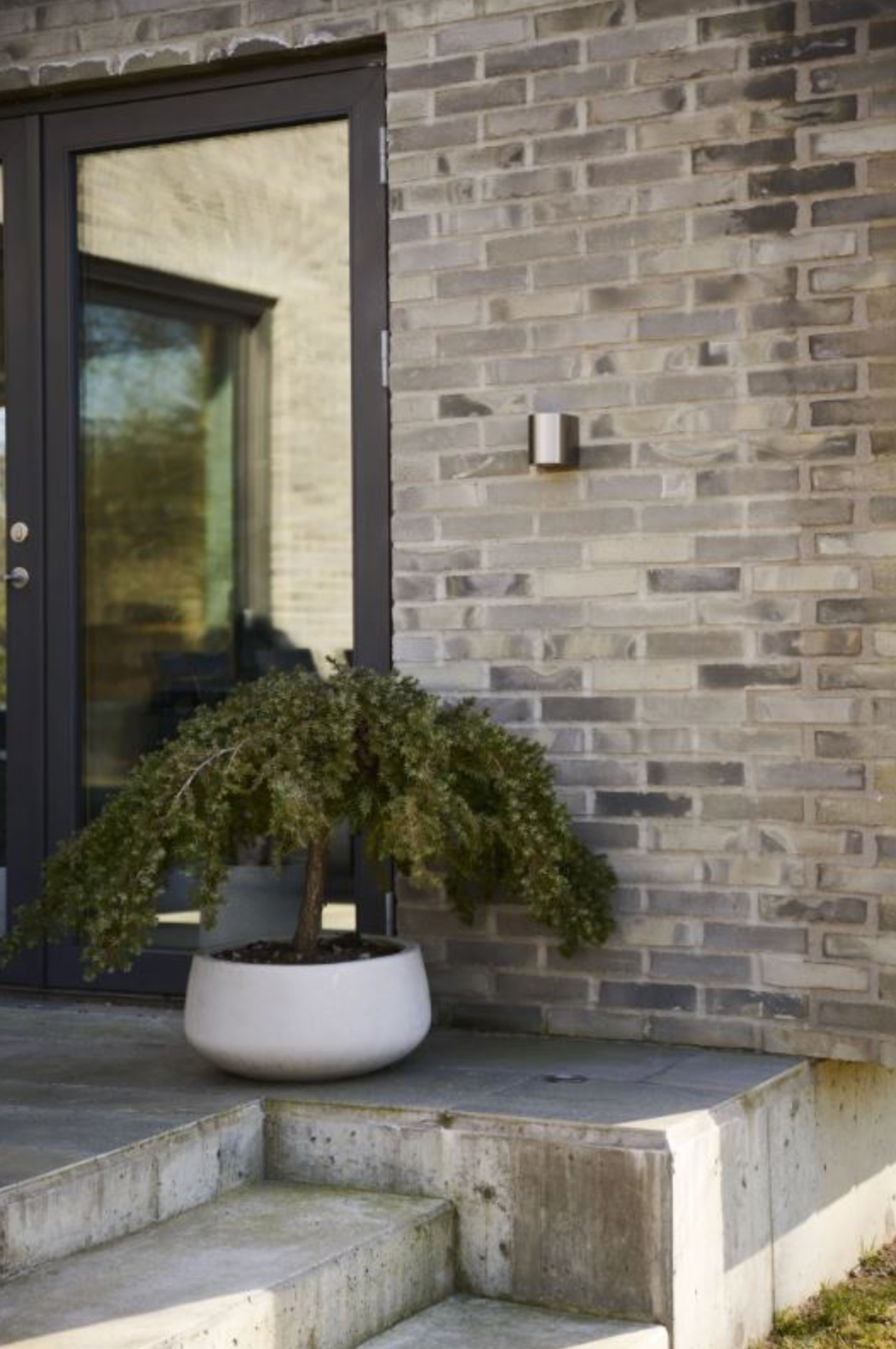 Potted plant on a stone ledge against a brick wall with a glass door.