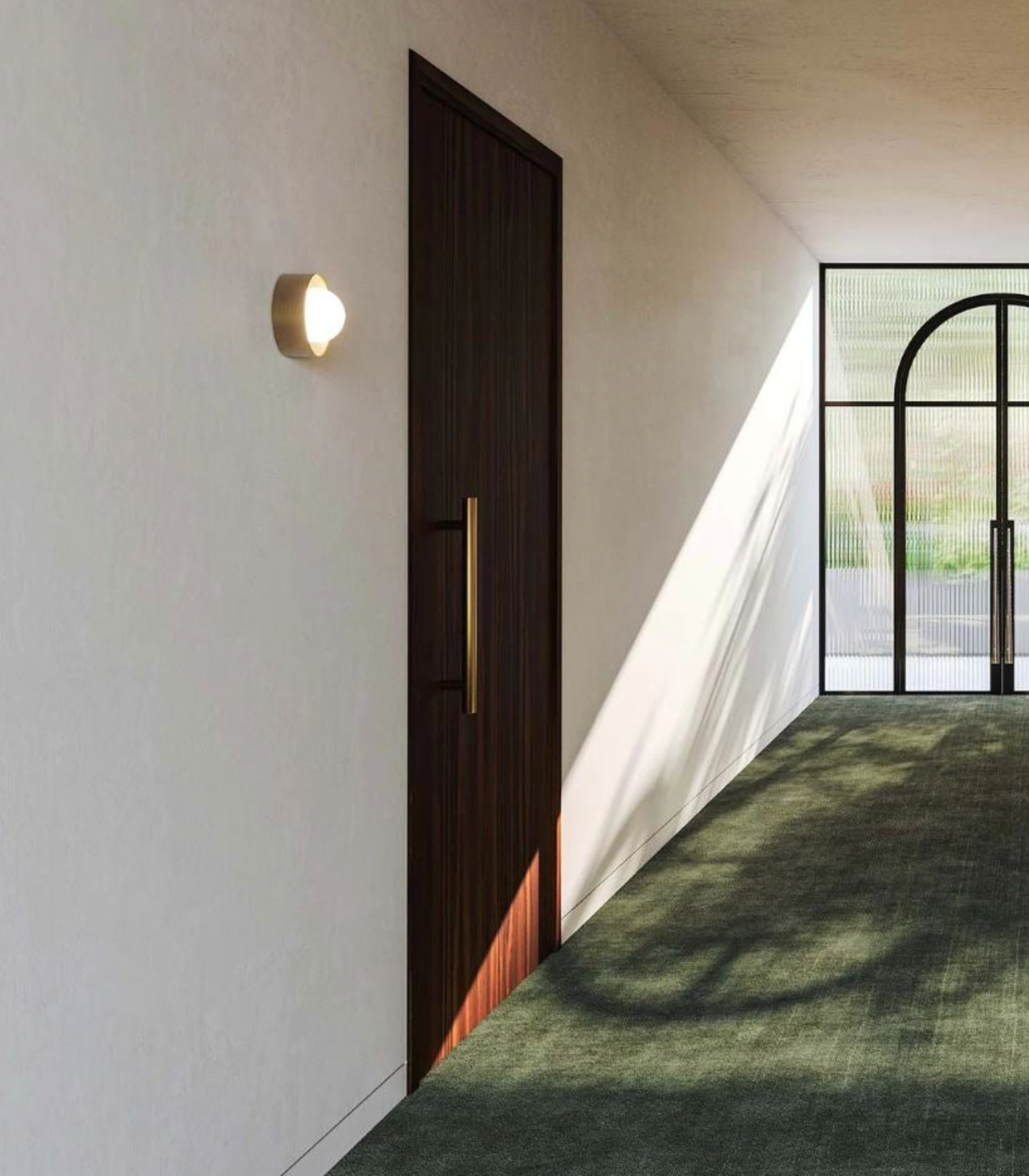 Modern interior hallway with a dark wooden door and wall-mounted light fixture.