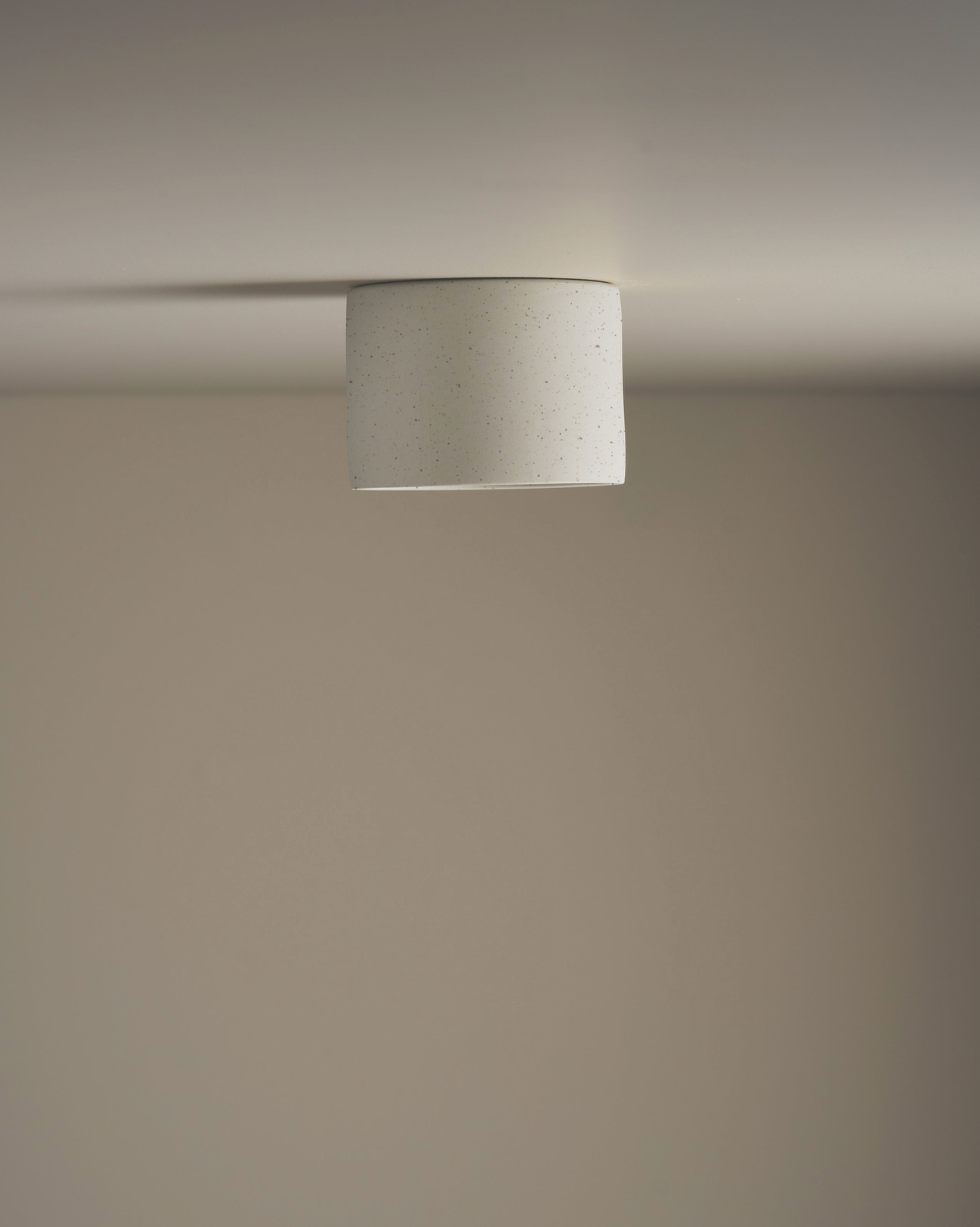 Ceramic ceiling light fixture on a neutral background
