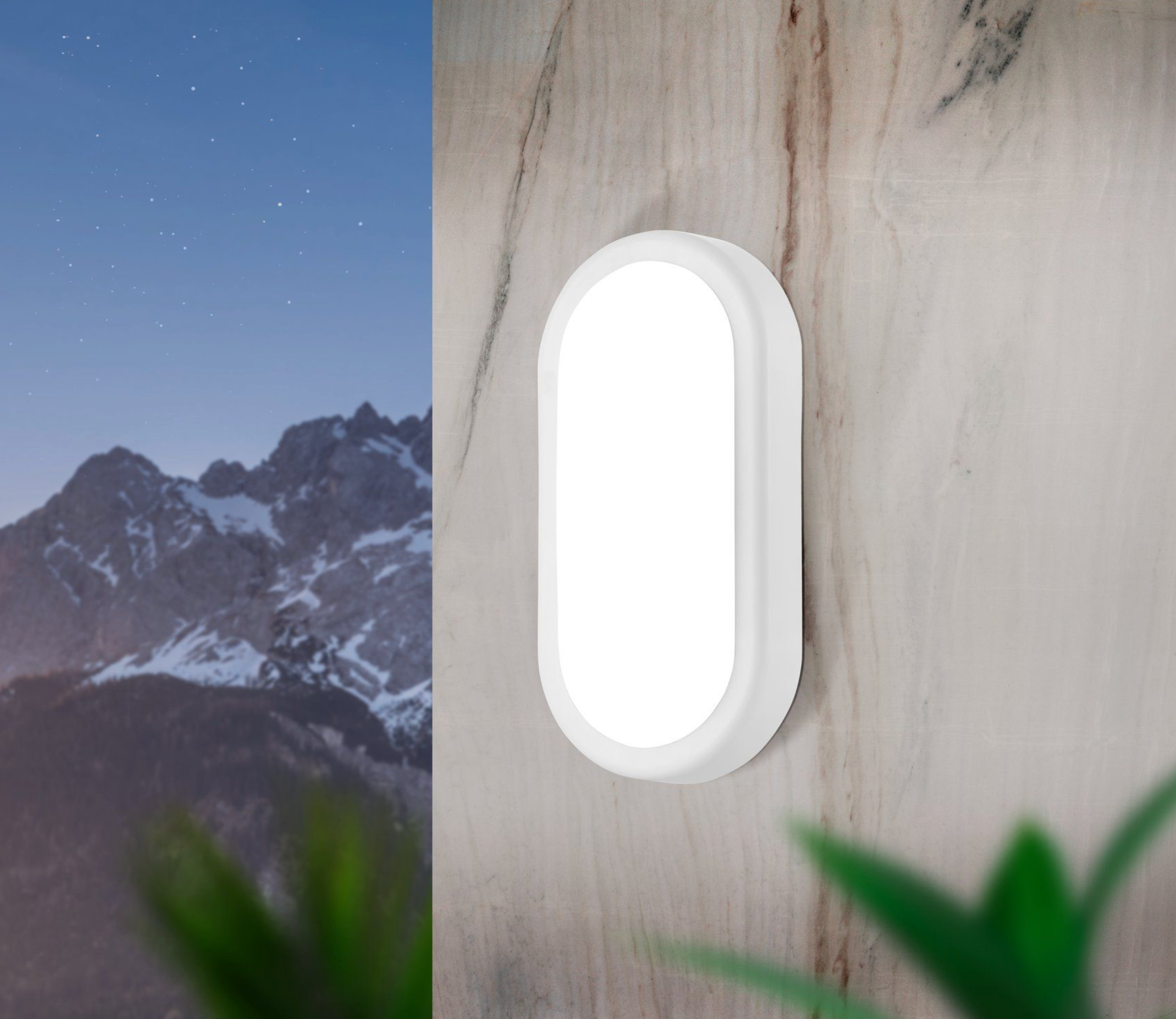 Burleigh Oval | Wall/Ceiling Light