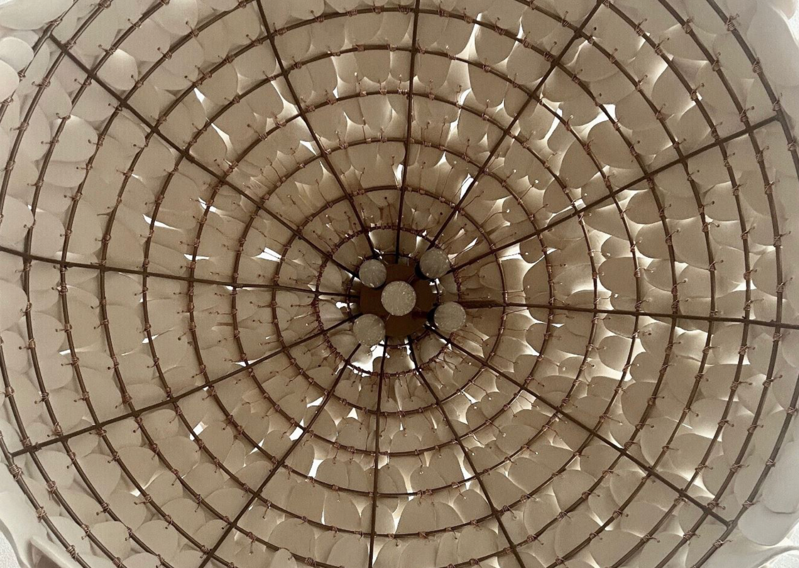 Petal | Pendant Light