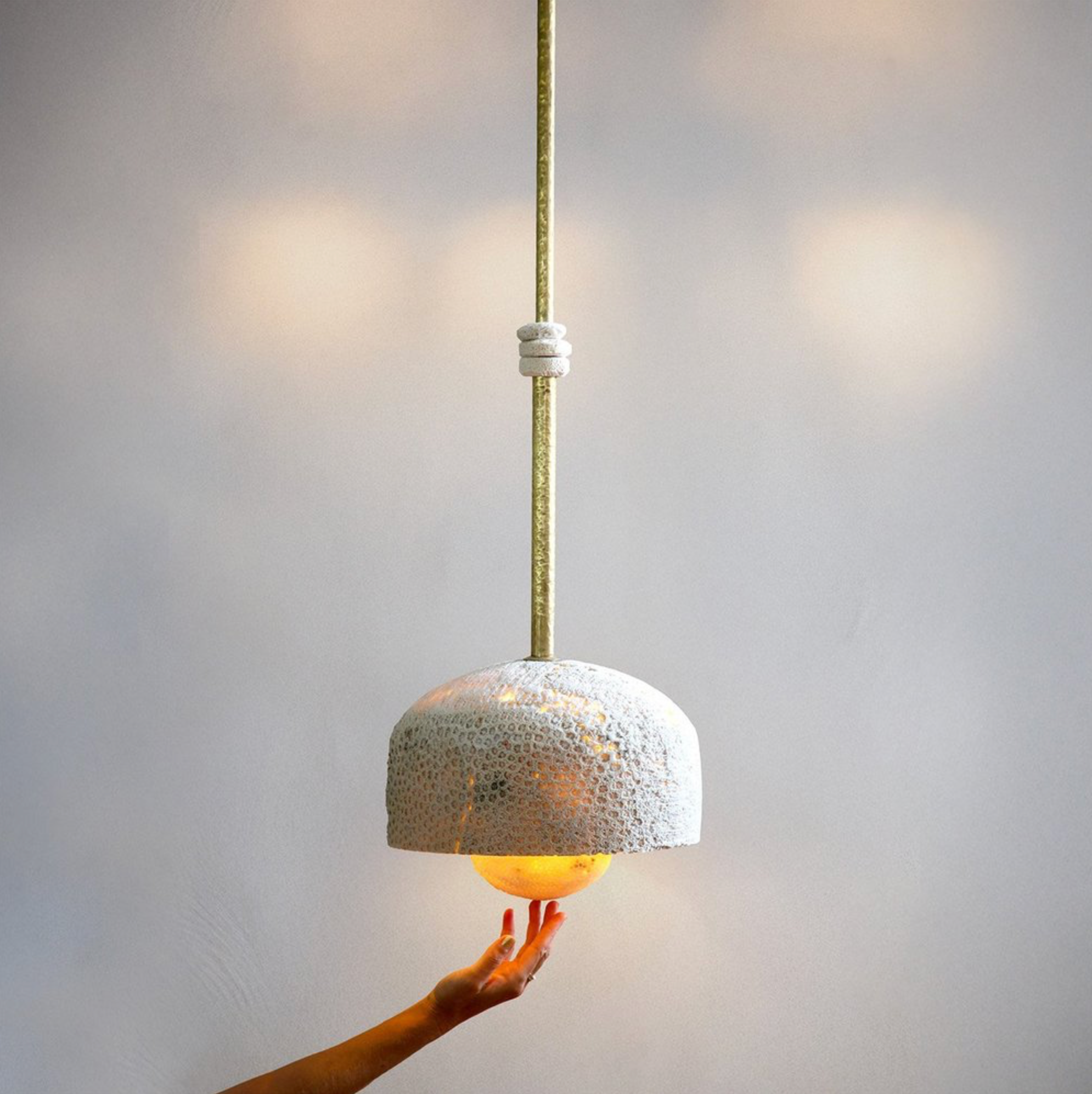 Fossil Coral Pearl | Pendant Light