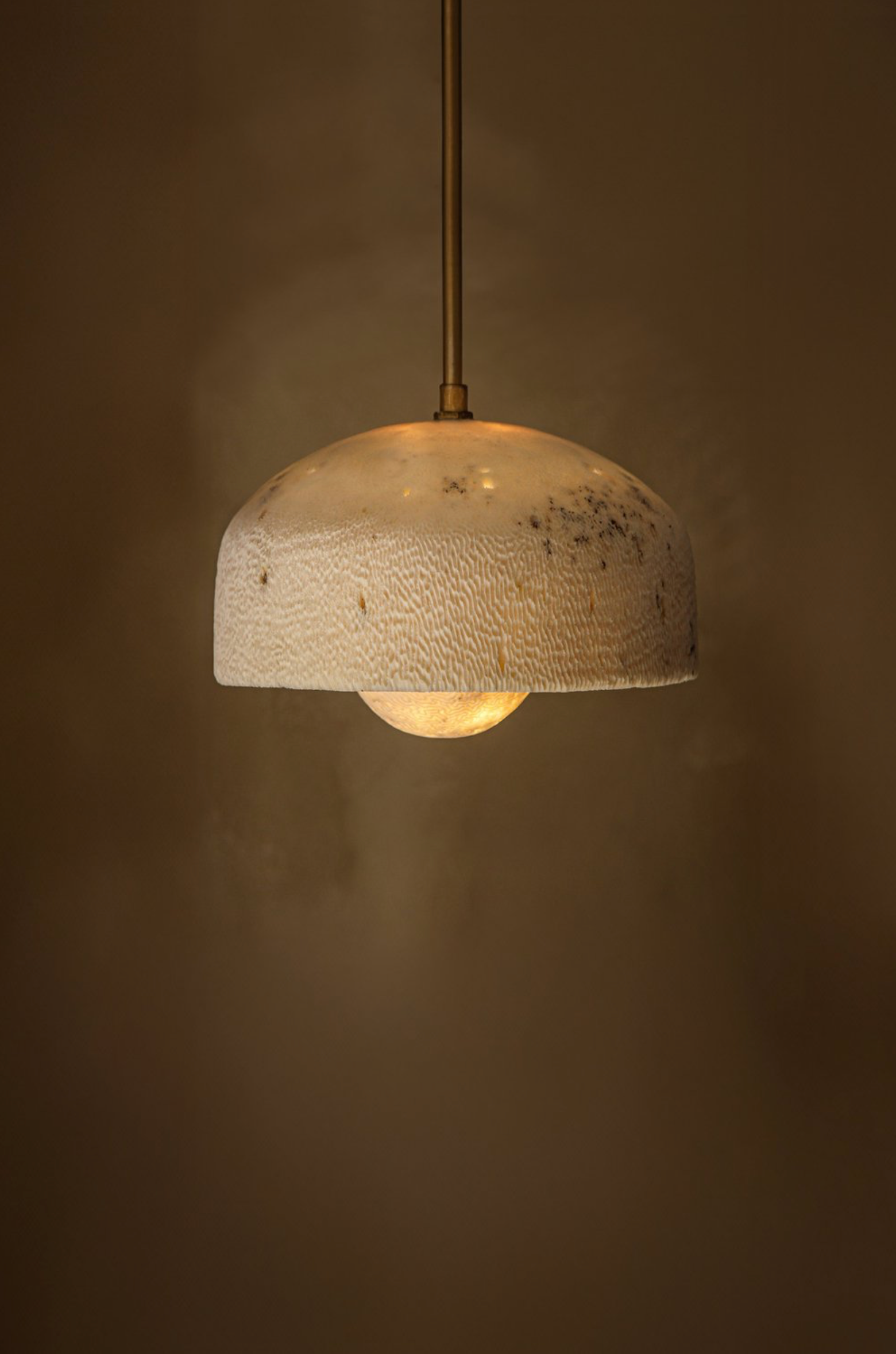 Fossil Coral Pearl | Pendant Light
