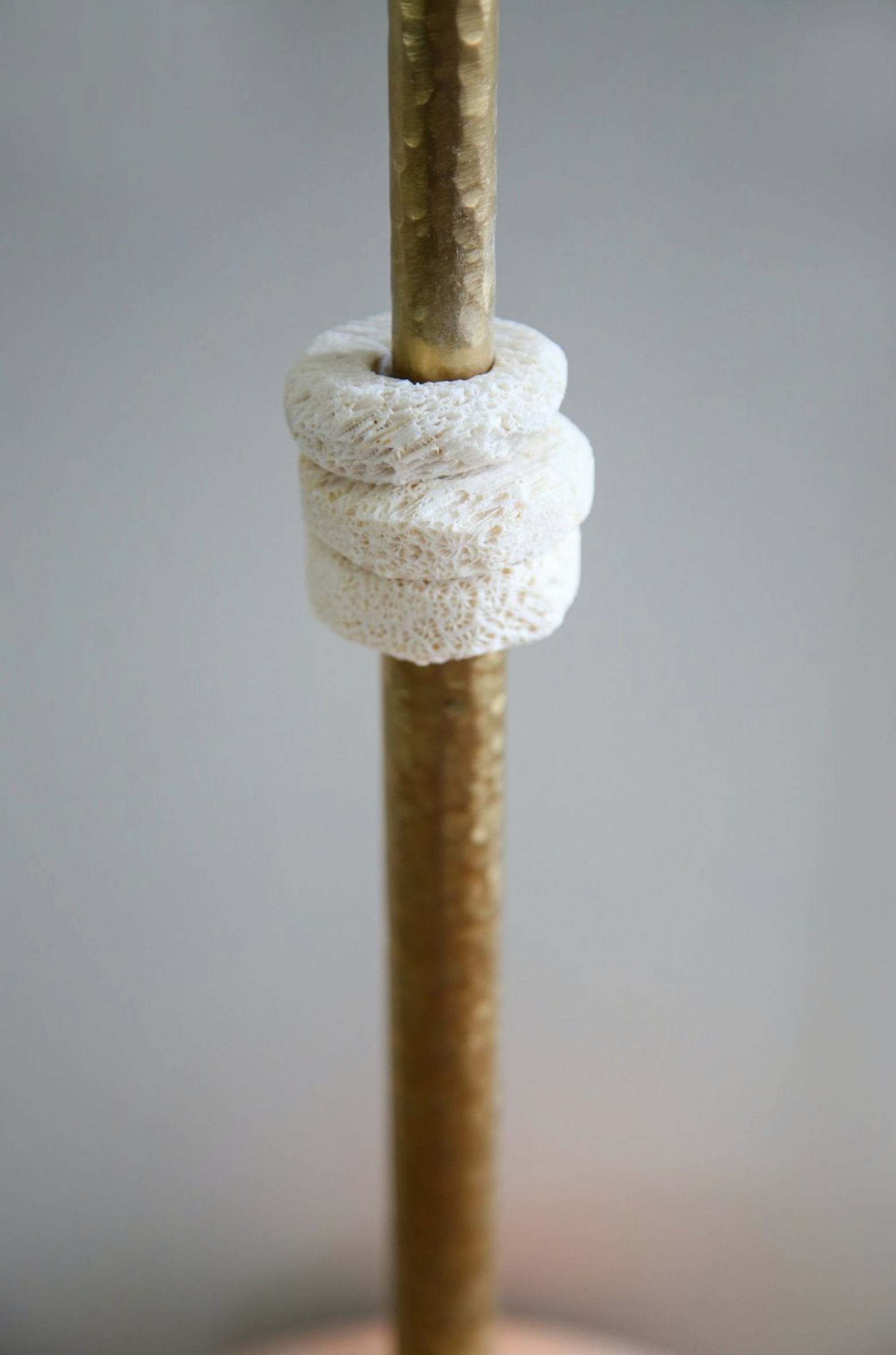 Fossil Coral Pearl | Pendant Light