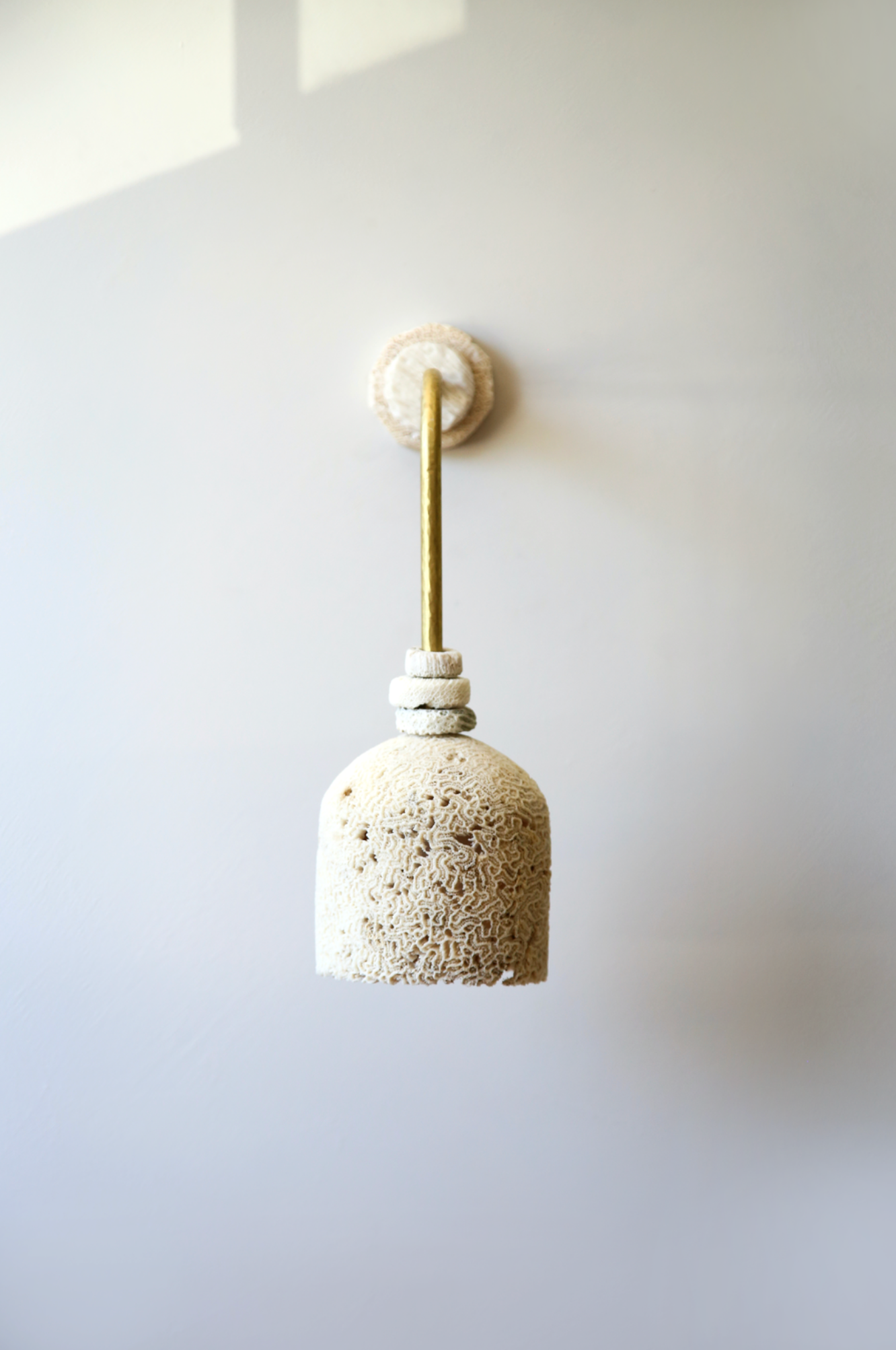 Fossil Coral Arc Dome | Wall Light