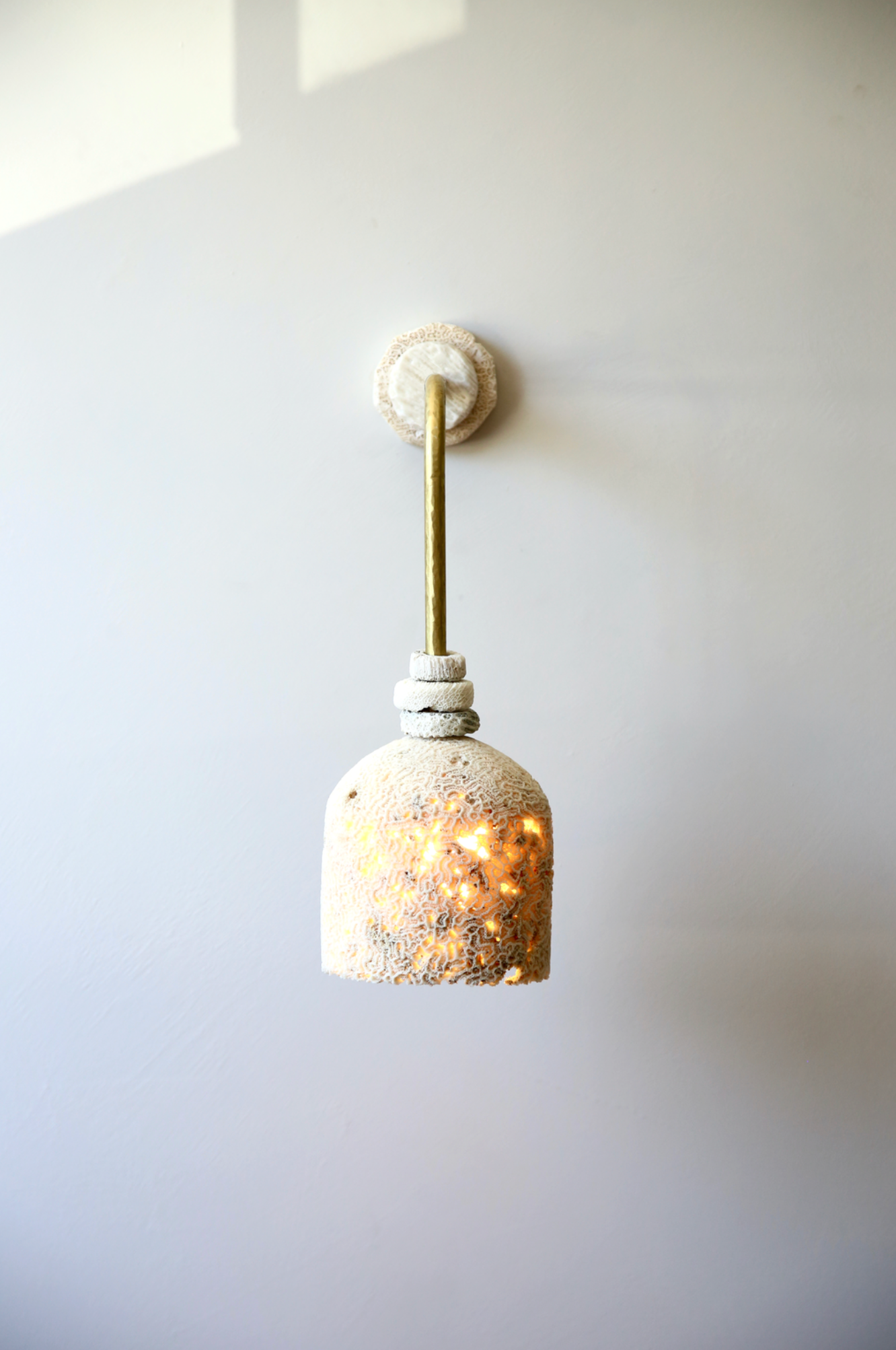 Fossil Coral Arc Dome | Wall Light