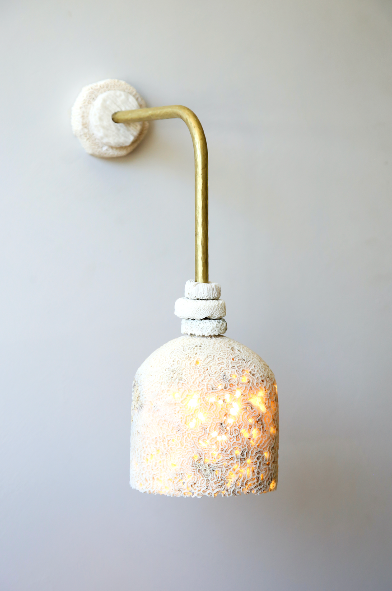 Fossil Coral Arc Dome | Wall Light