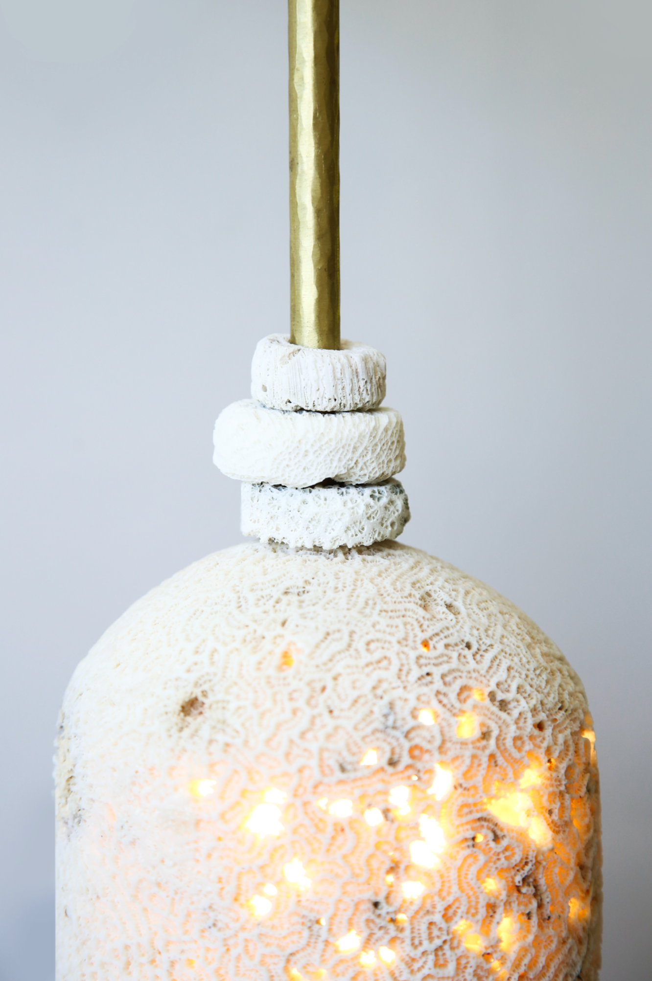 Fossil Coral Arc Dome | Wall Light