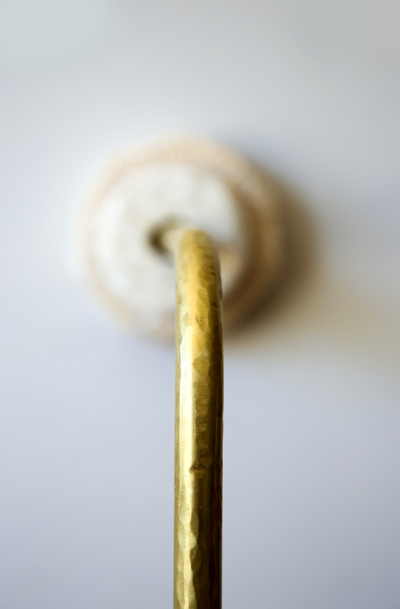 Fossil Coral Arc Dome | Wall Light