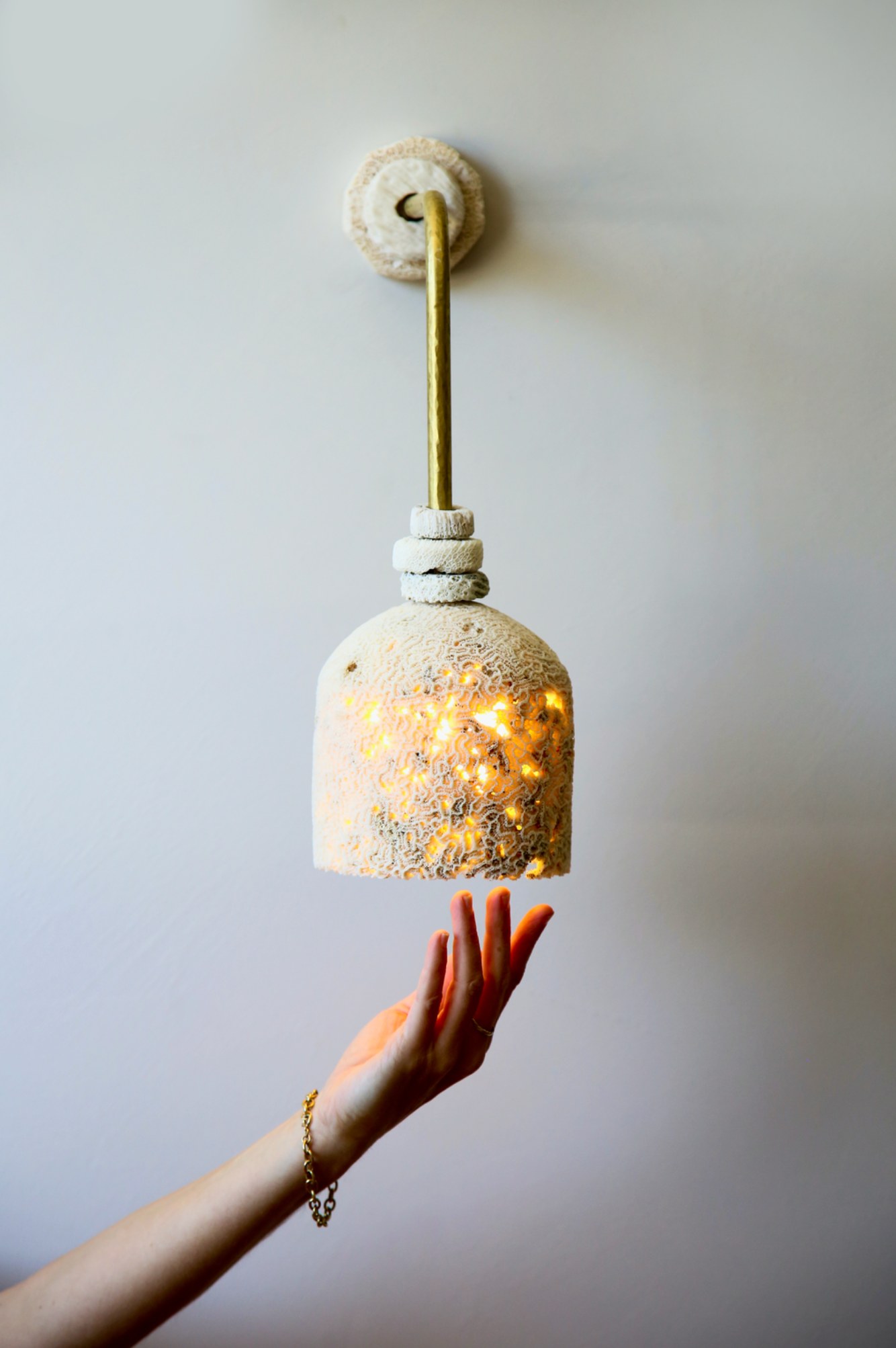 Fossil Coral Arc Dome | Wall Light