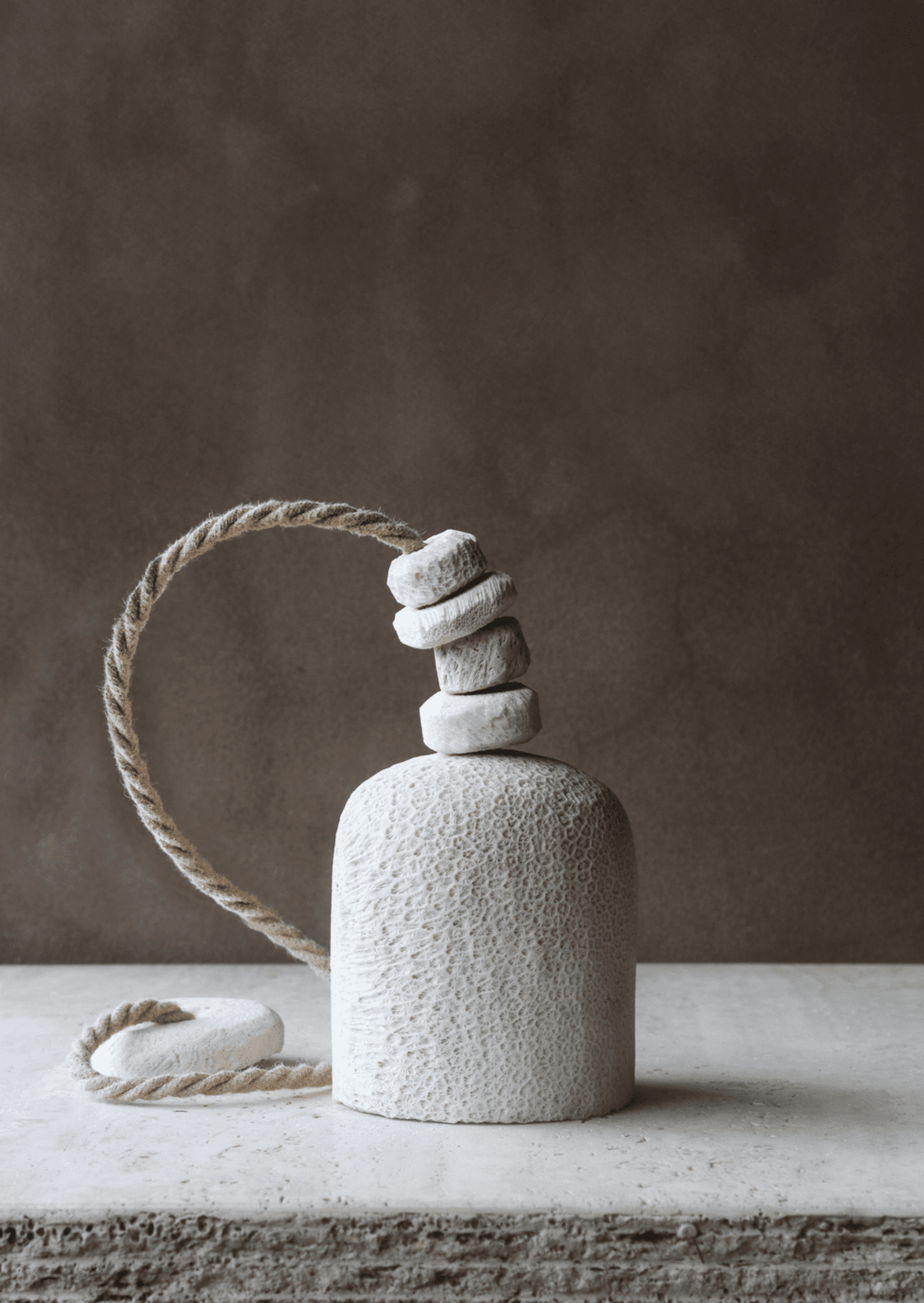 Fossil Coral Dome | Pendant Light