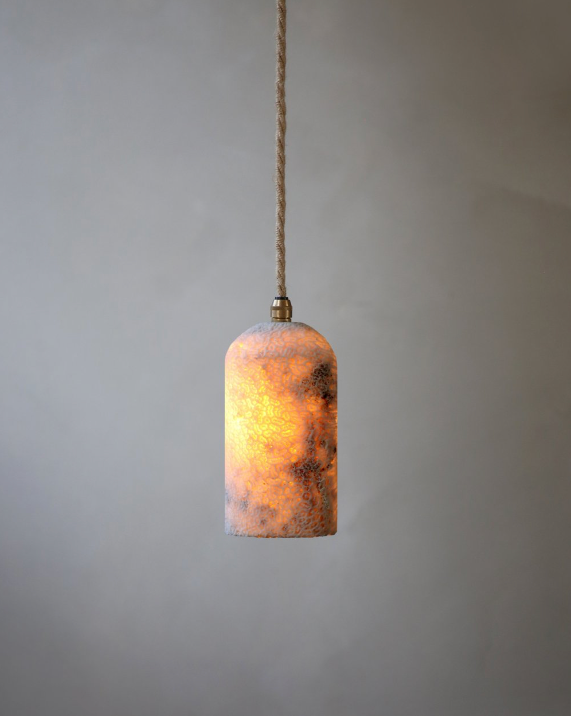 Fossil Coral Dome | Pendant Light