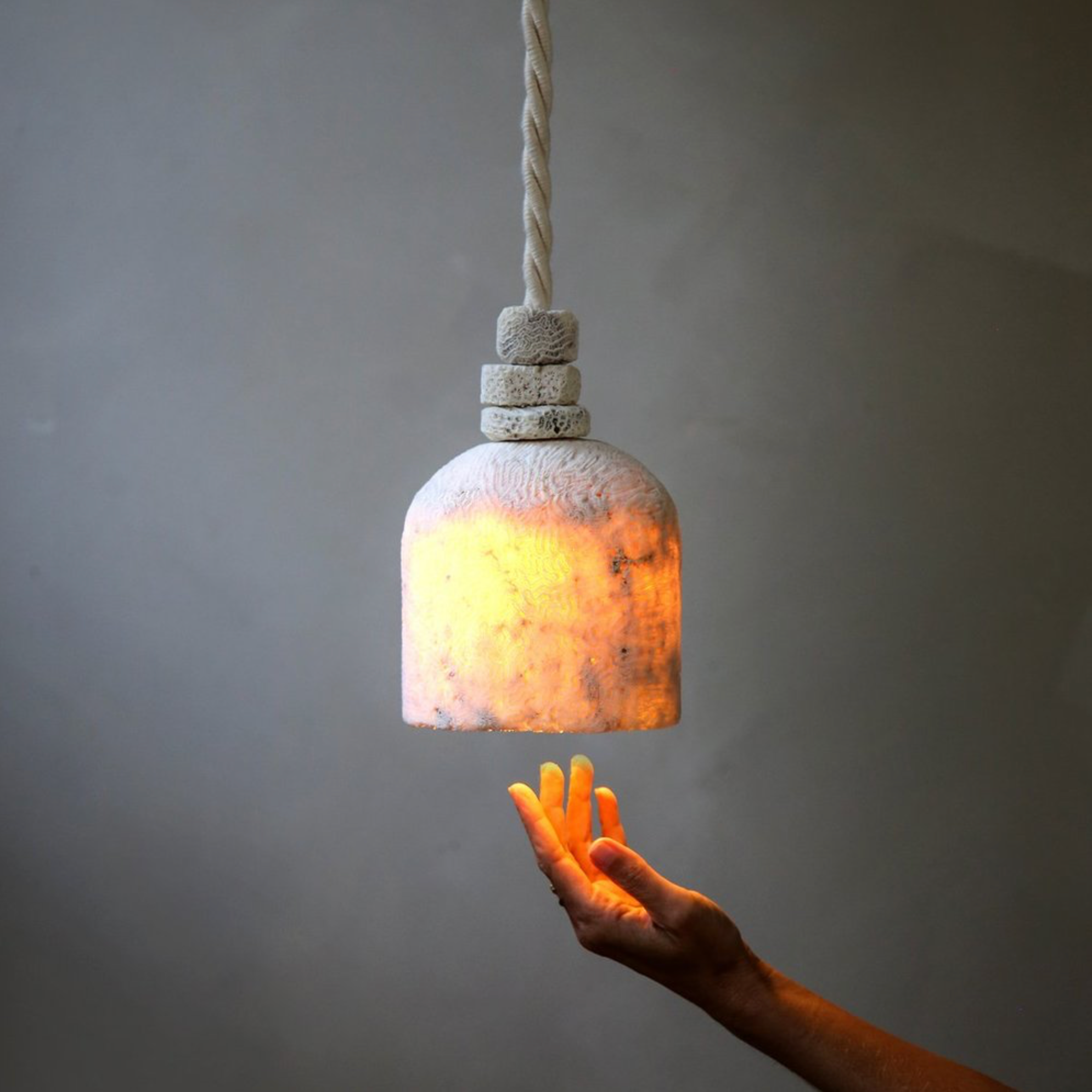 Fossil Coral Dome | Pendant Light