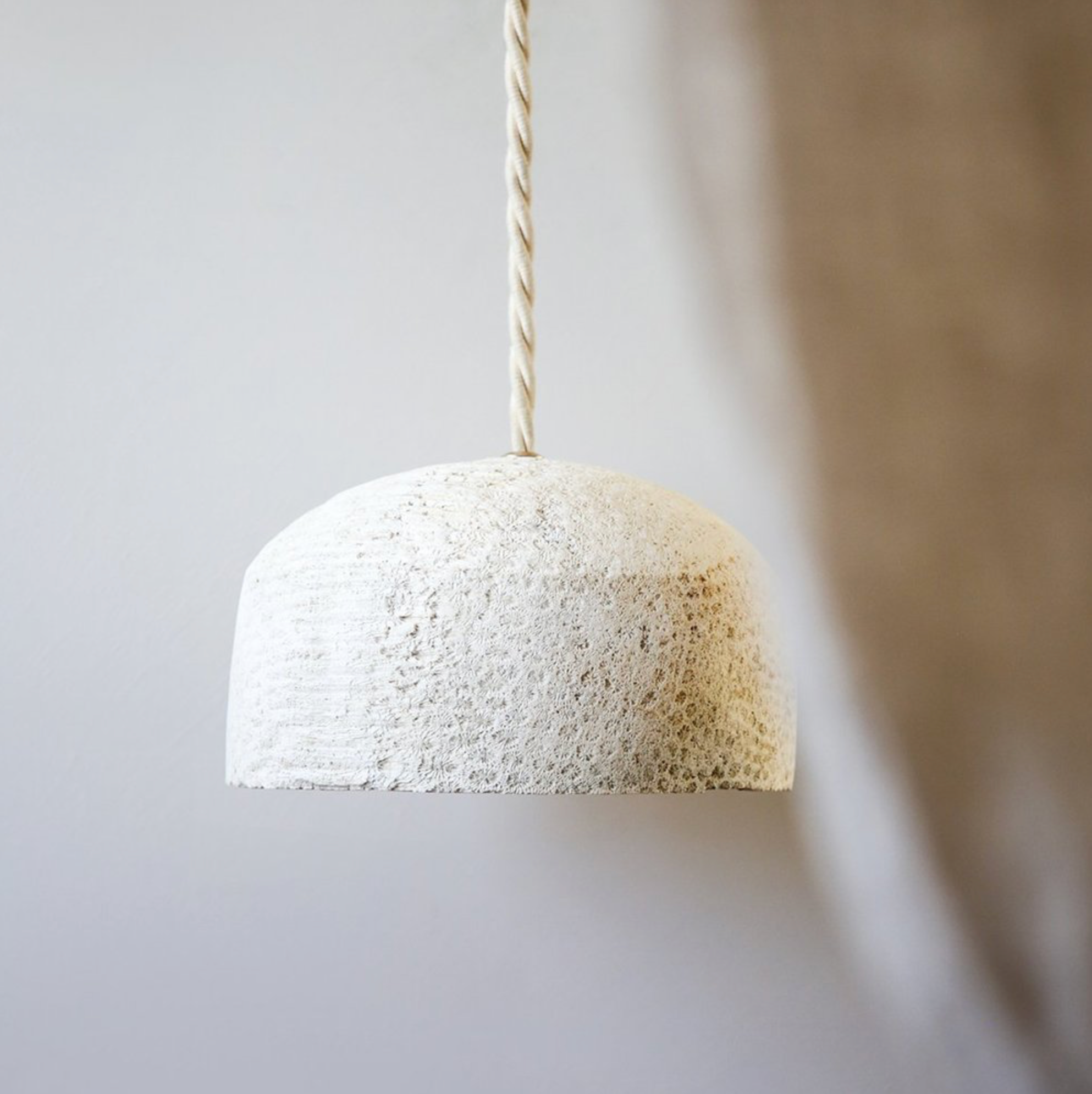 Fossil Coral Dome | Pendant Light
