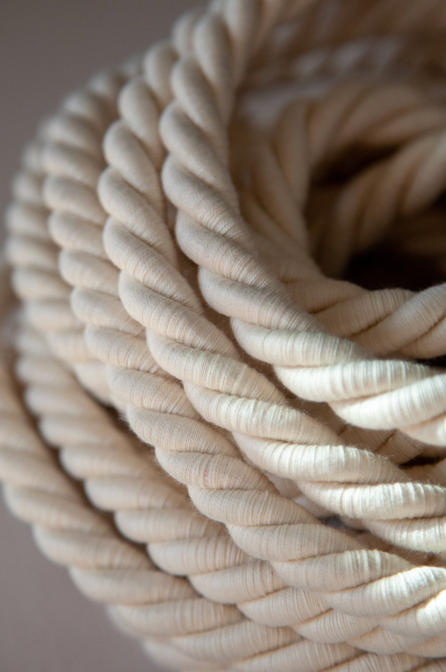 Fossil Coral Cone | Pendant Light