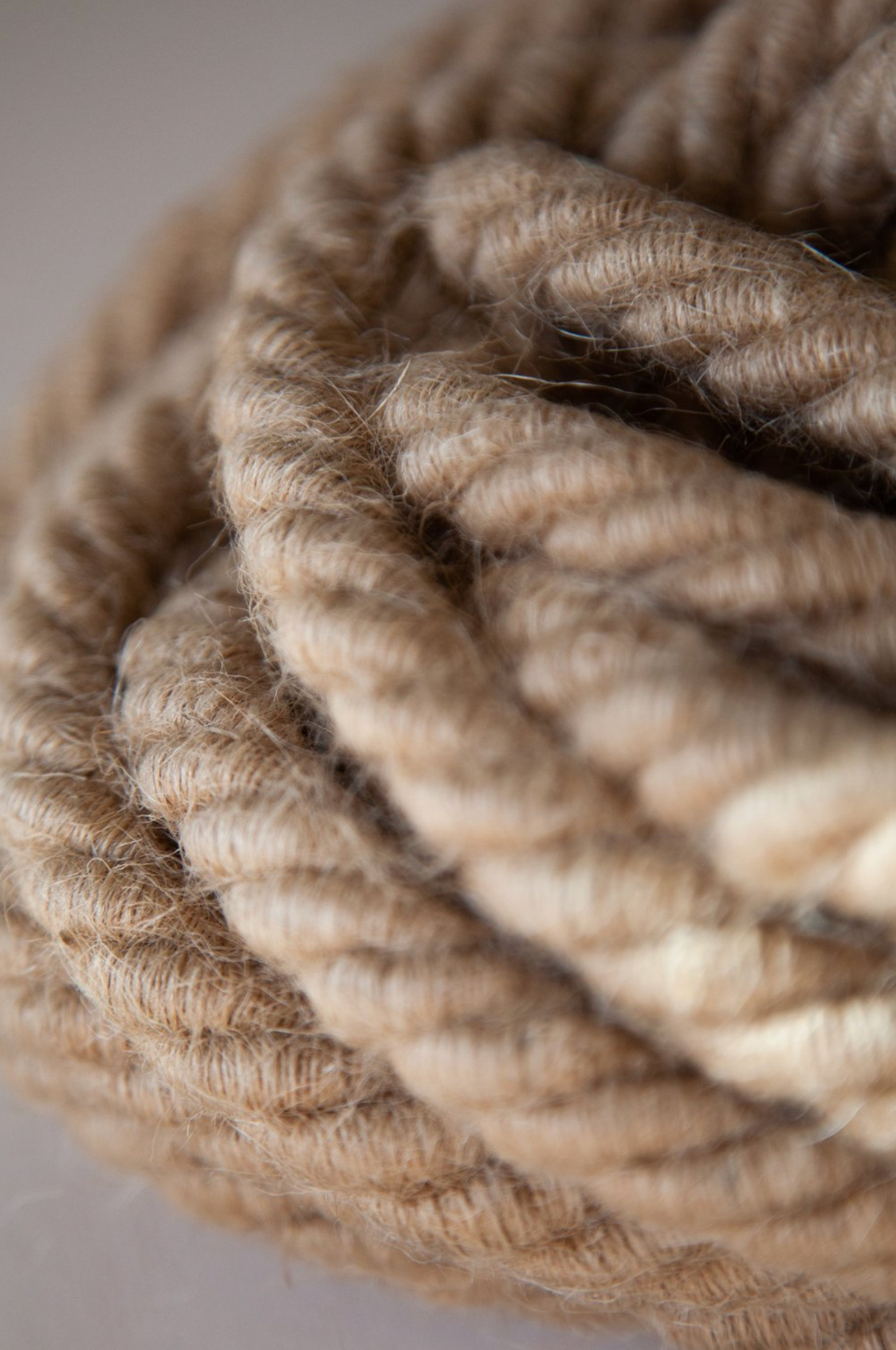 Fossil Coral Cone | Pendant Light