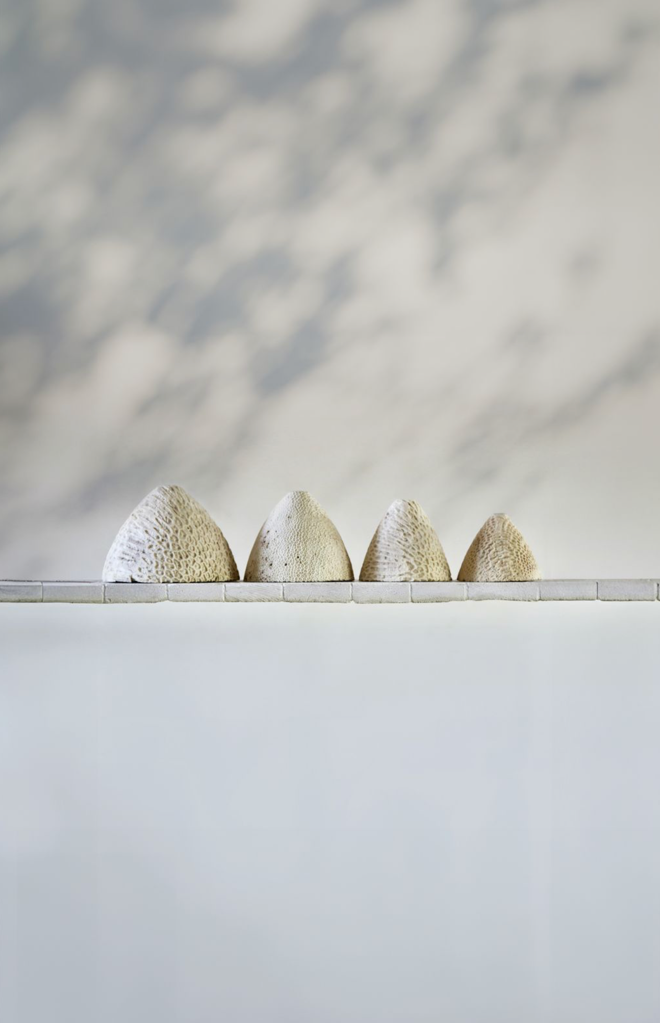 Fossil Coral Cone | Pendant Light