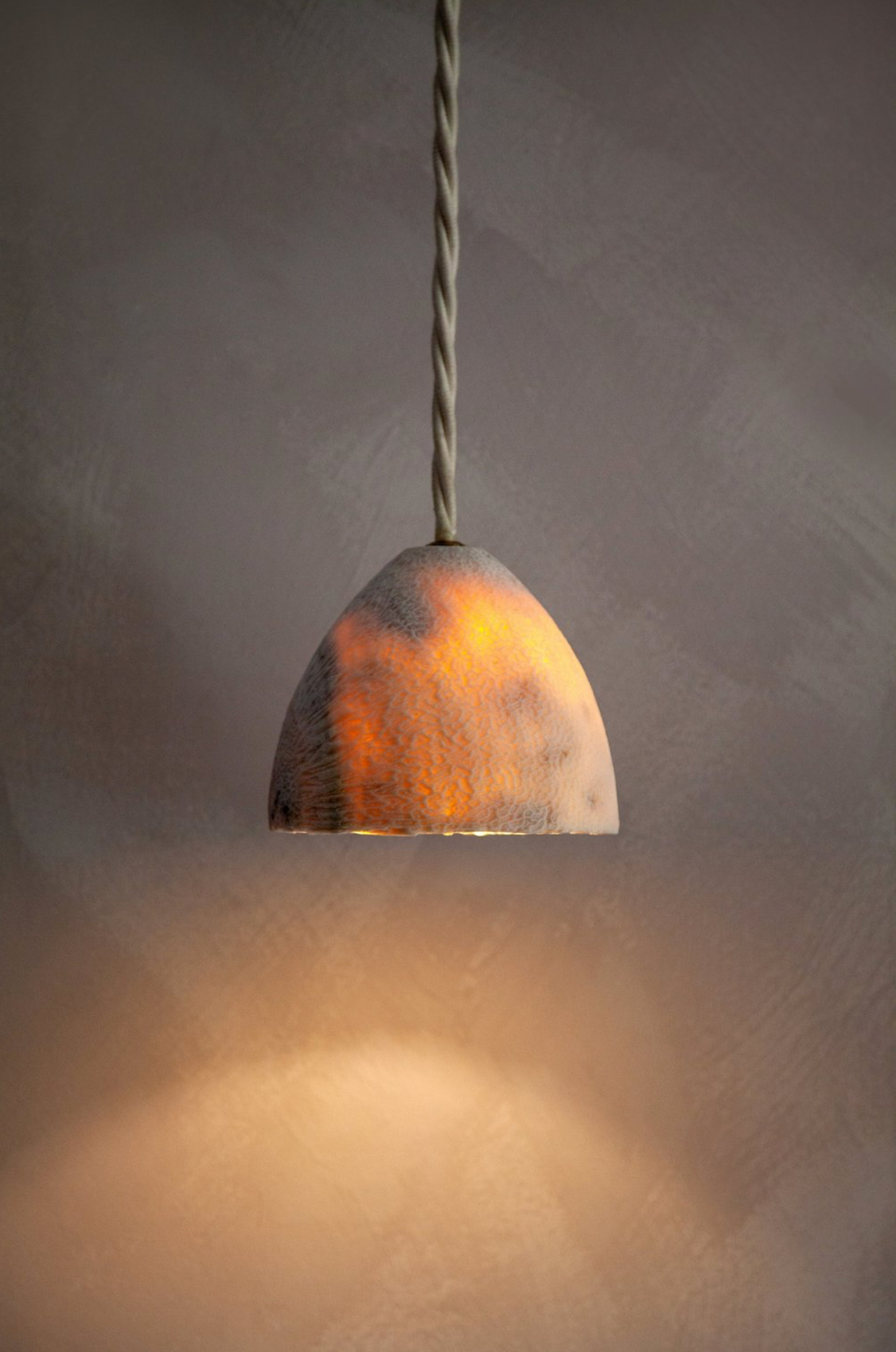 Fossil Coral Cone | Pendant Light