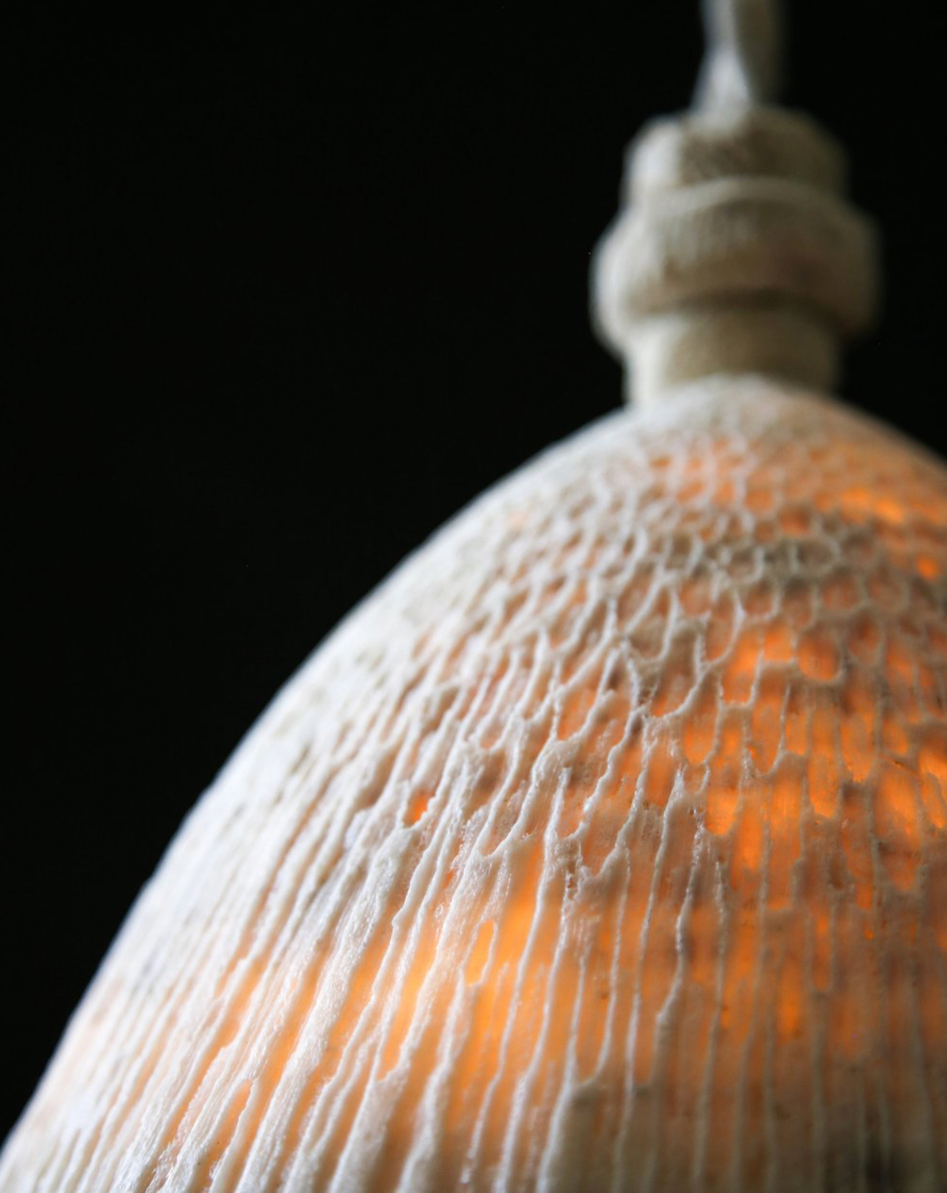 Fossil Coral Cone | Pendant Light