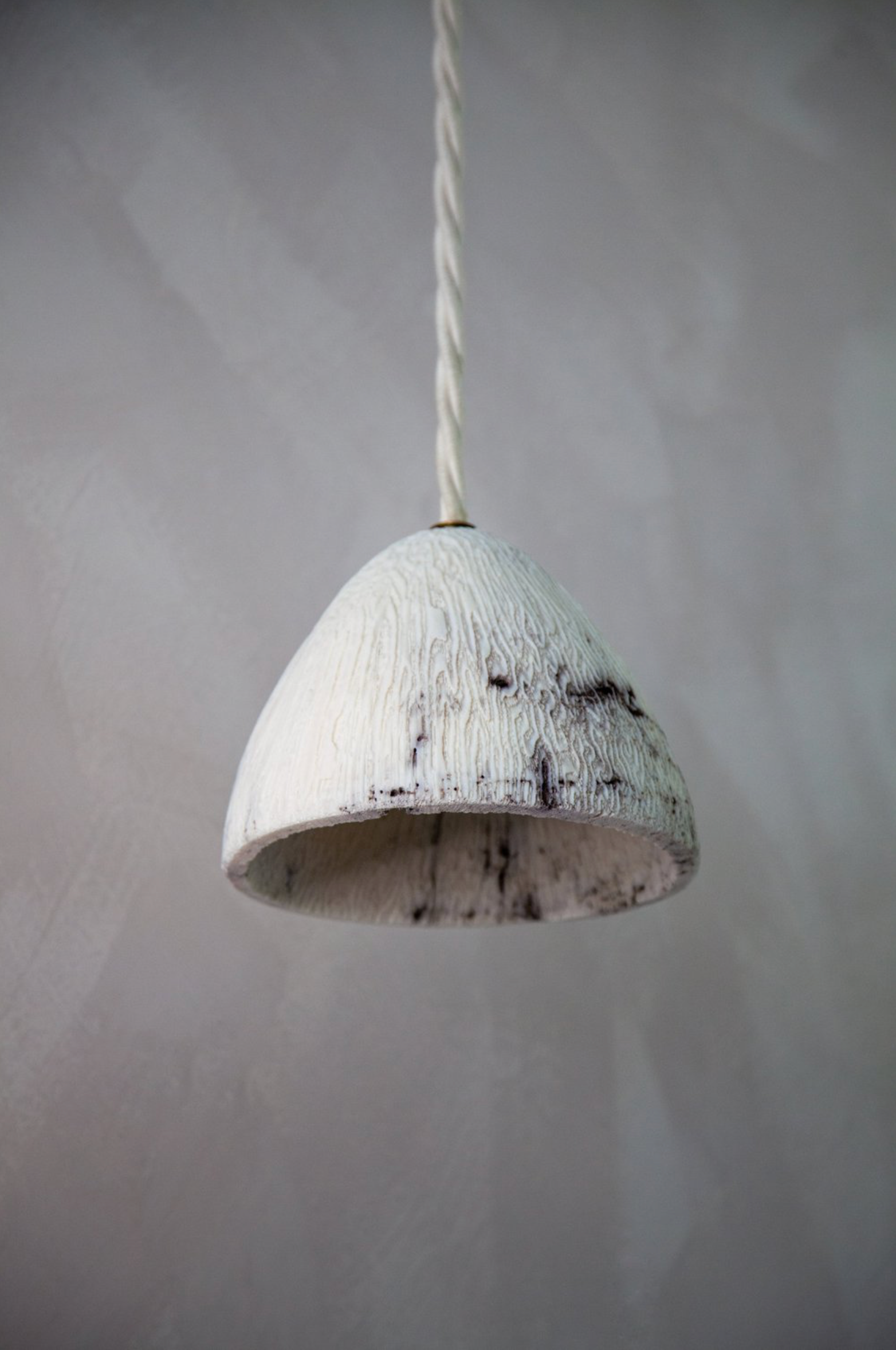 Fossil Coral Cone | Pendant Light
