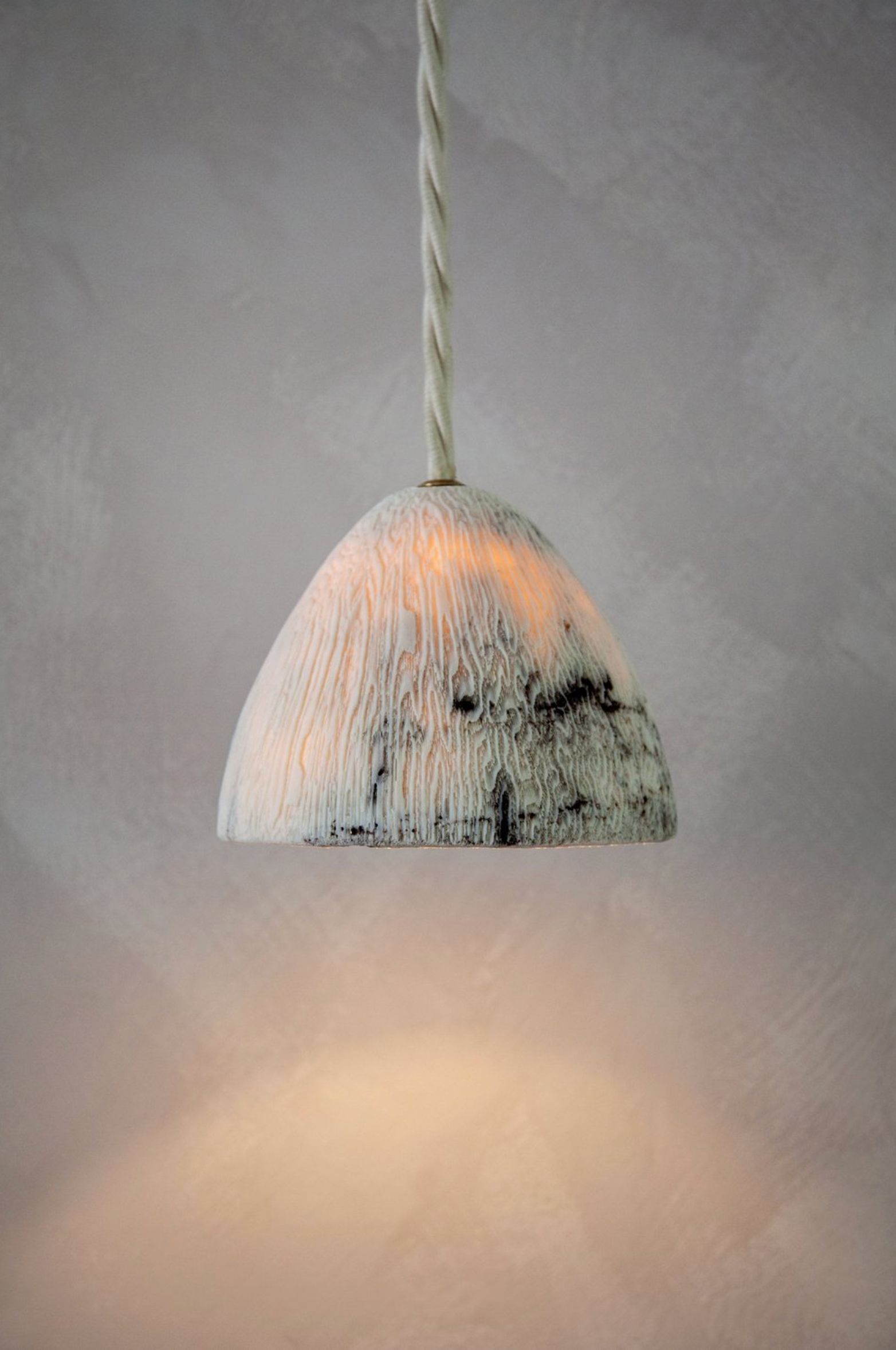 Fossil Coral Cone | Pendant Light