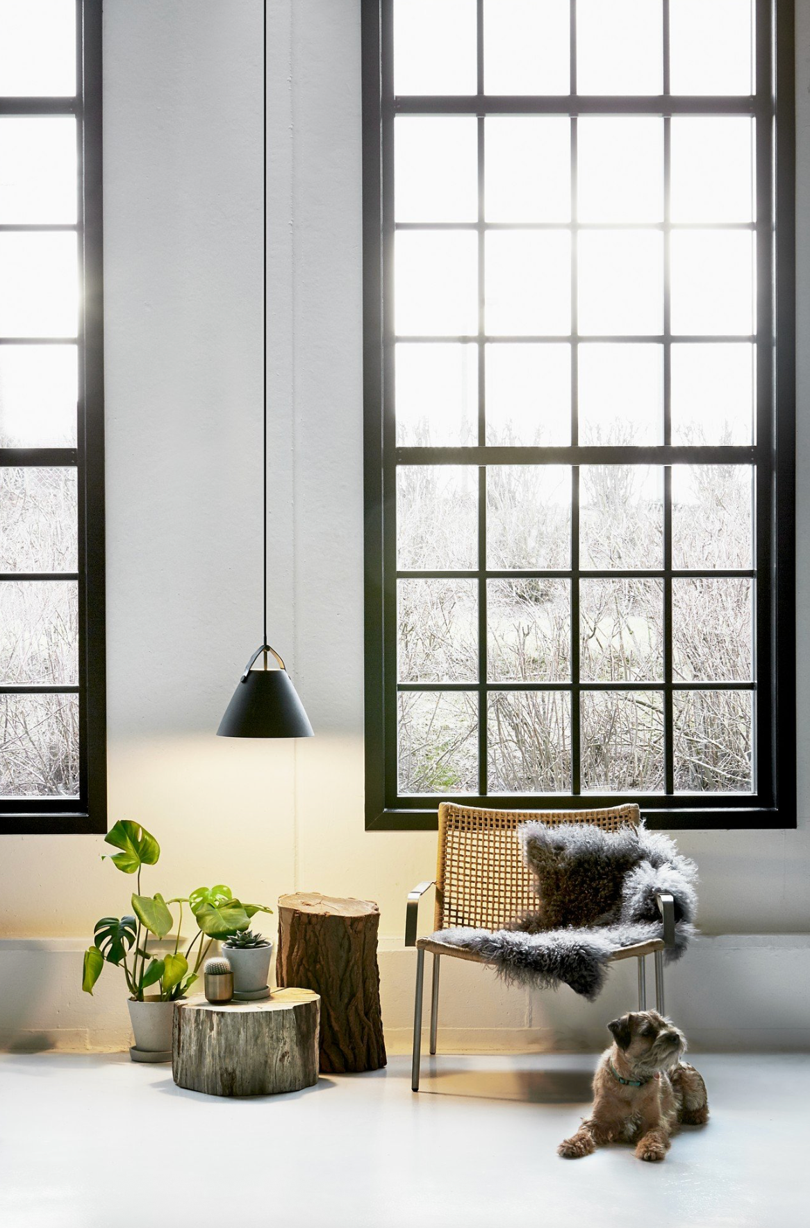 Strap 27 | Pendant Light