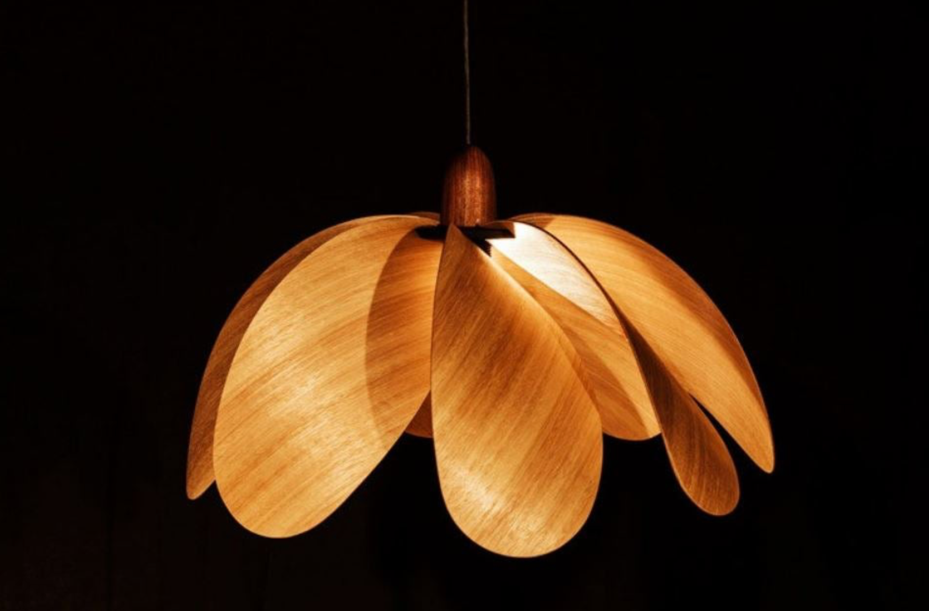 Propeller | Pendant Light