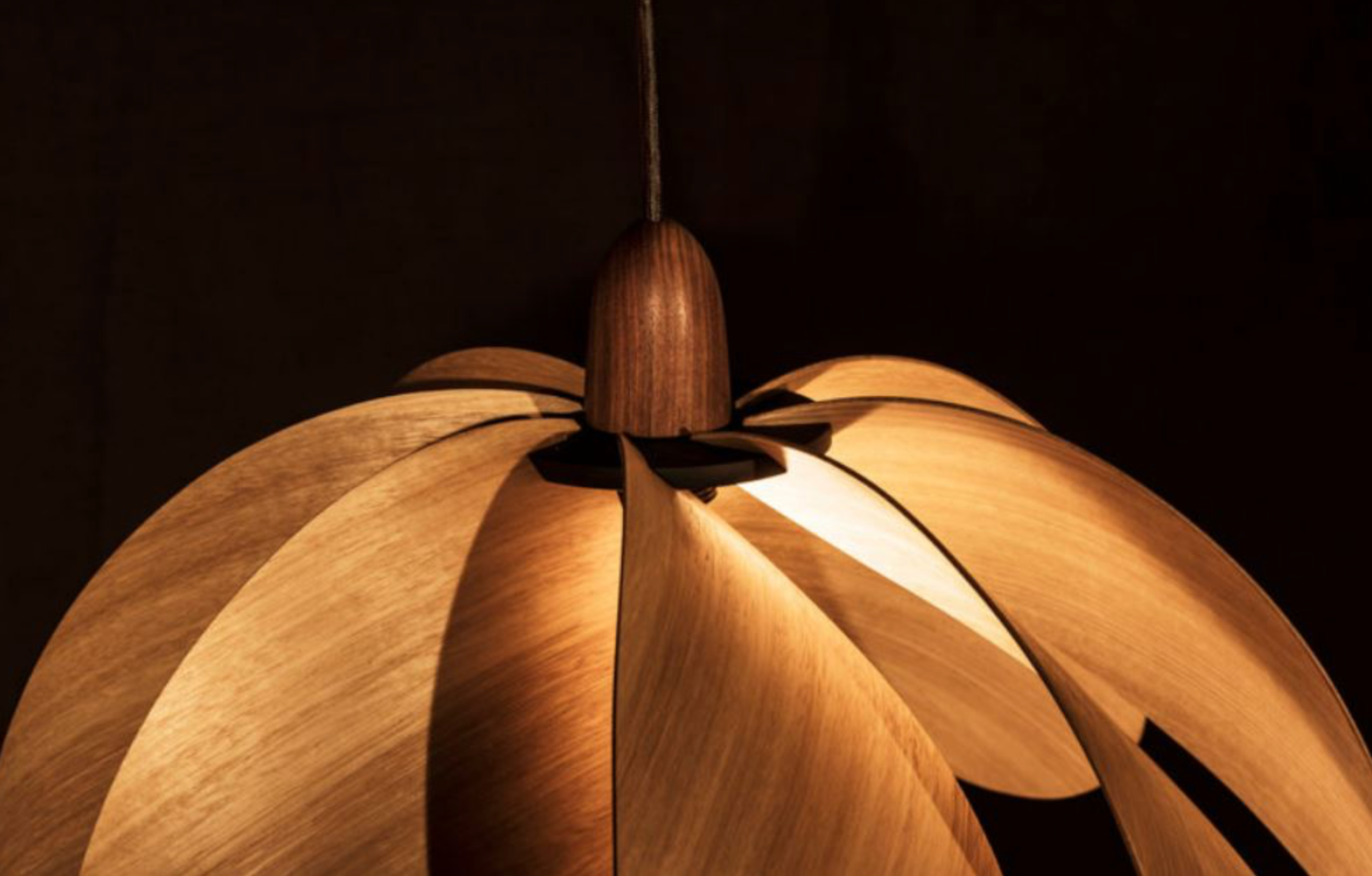 Propeller | Pendant Light