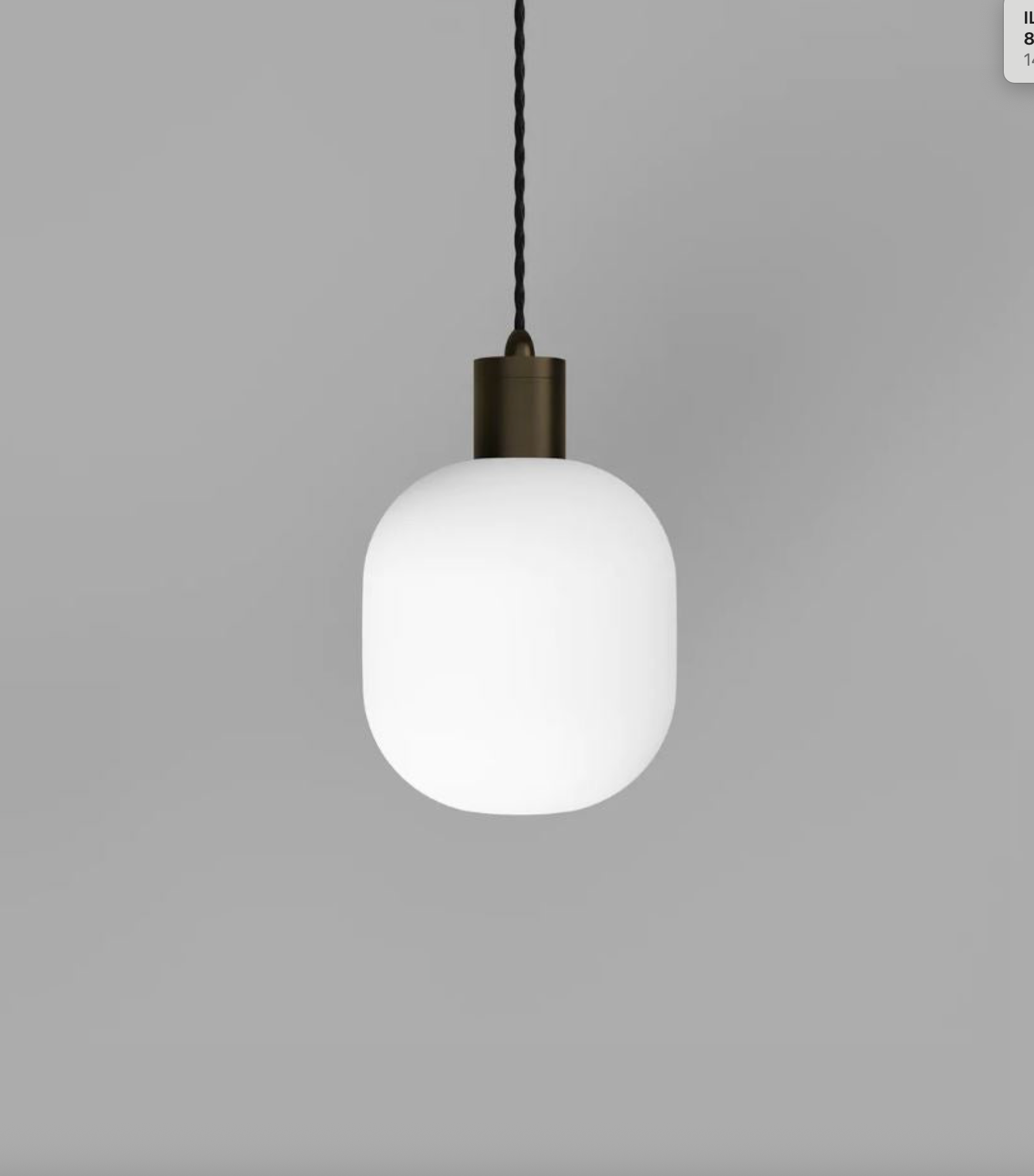 Parlour Curve | Pendant Light