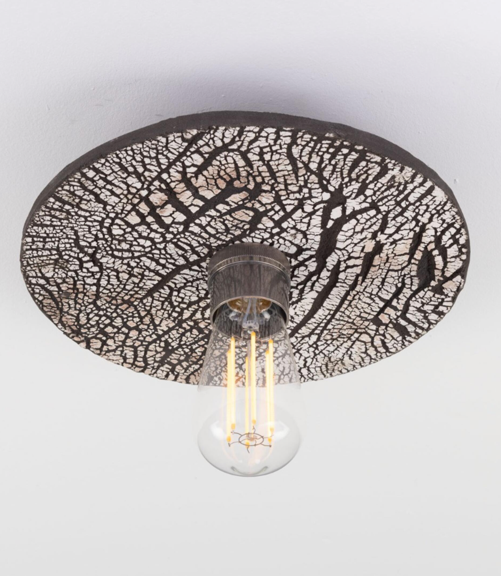 Bog Oak | Ceiling Light