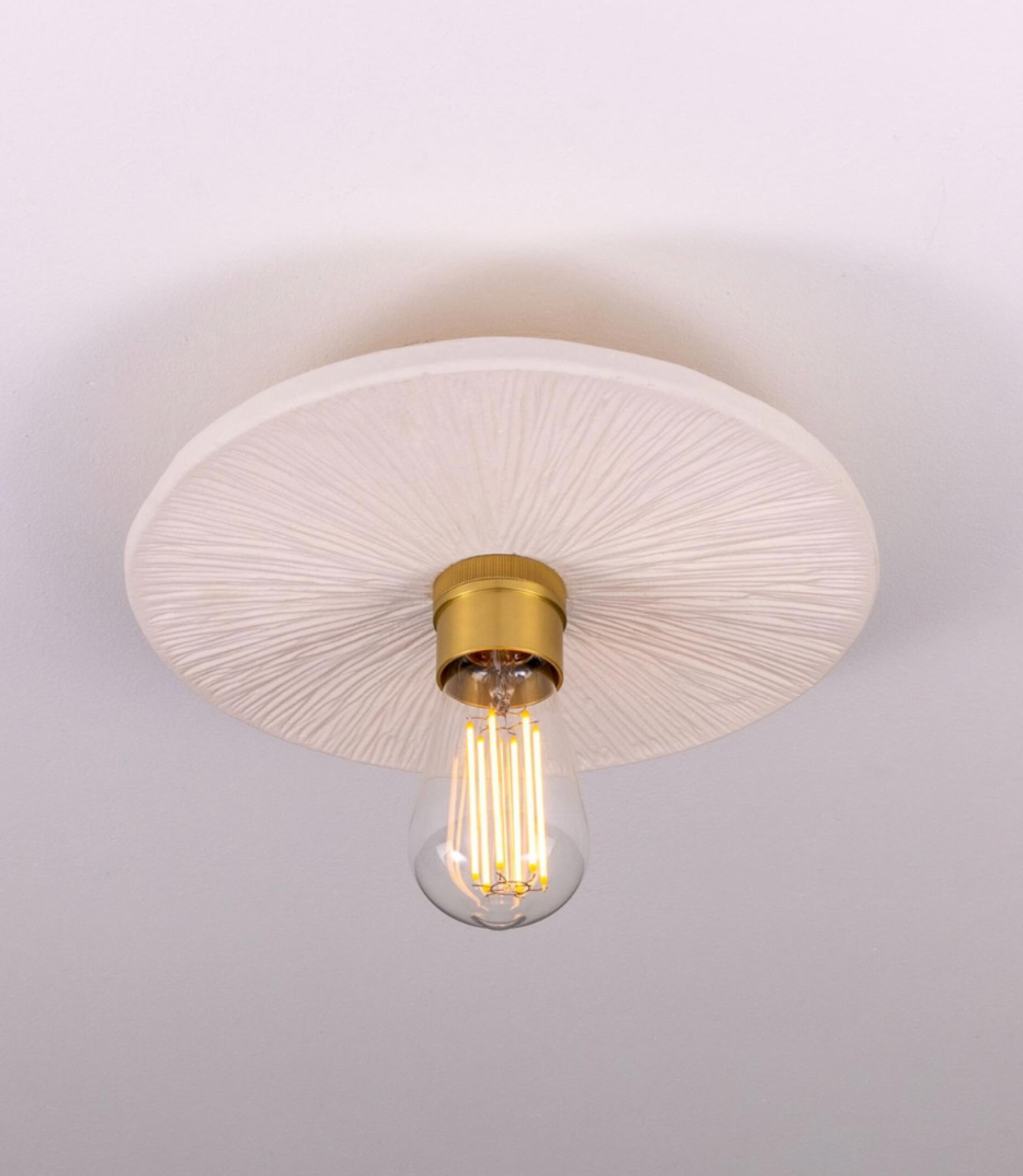 Bog Oak | Ceiling Light