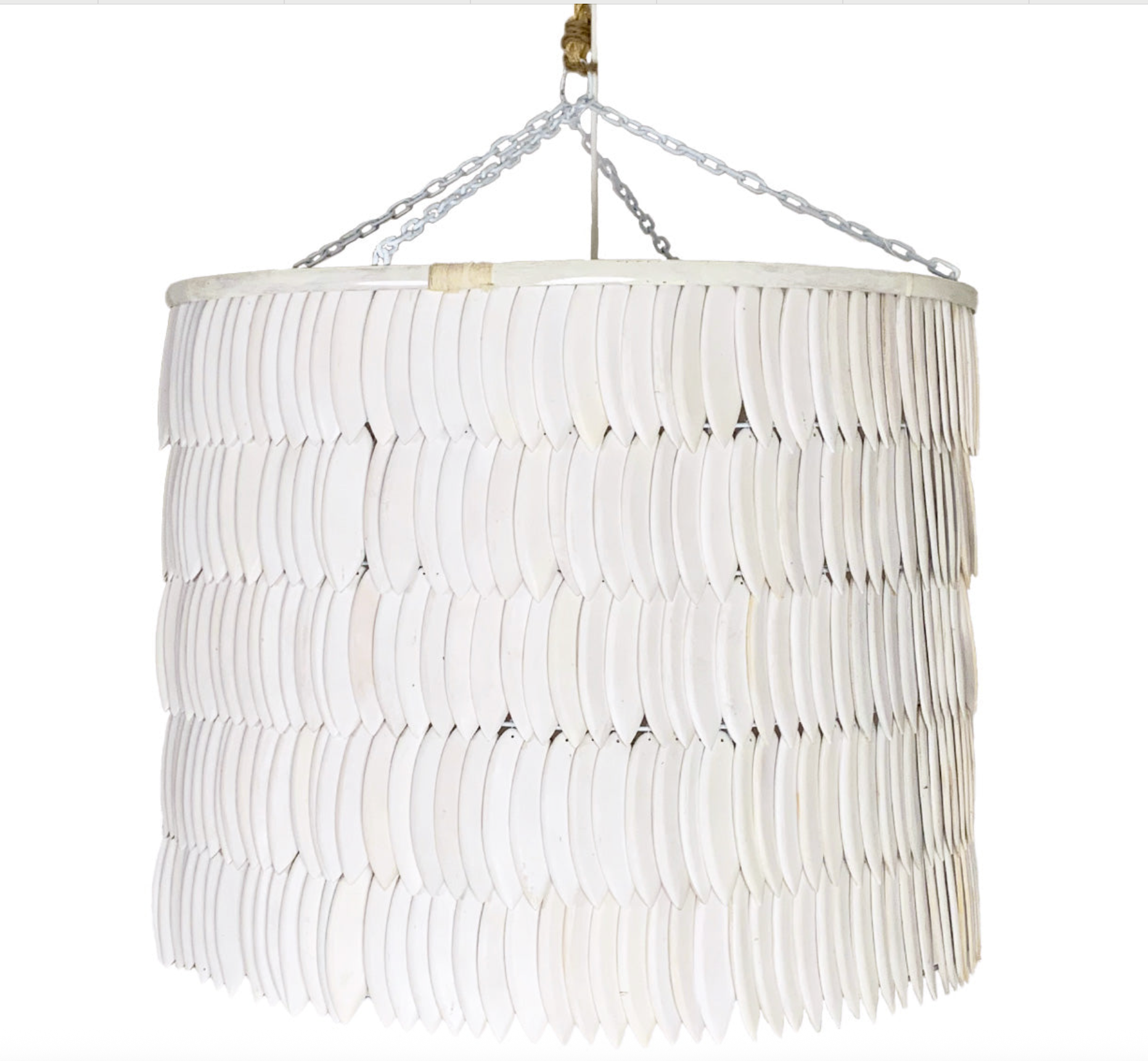 Cuttlefish | Pendant Light