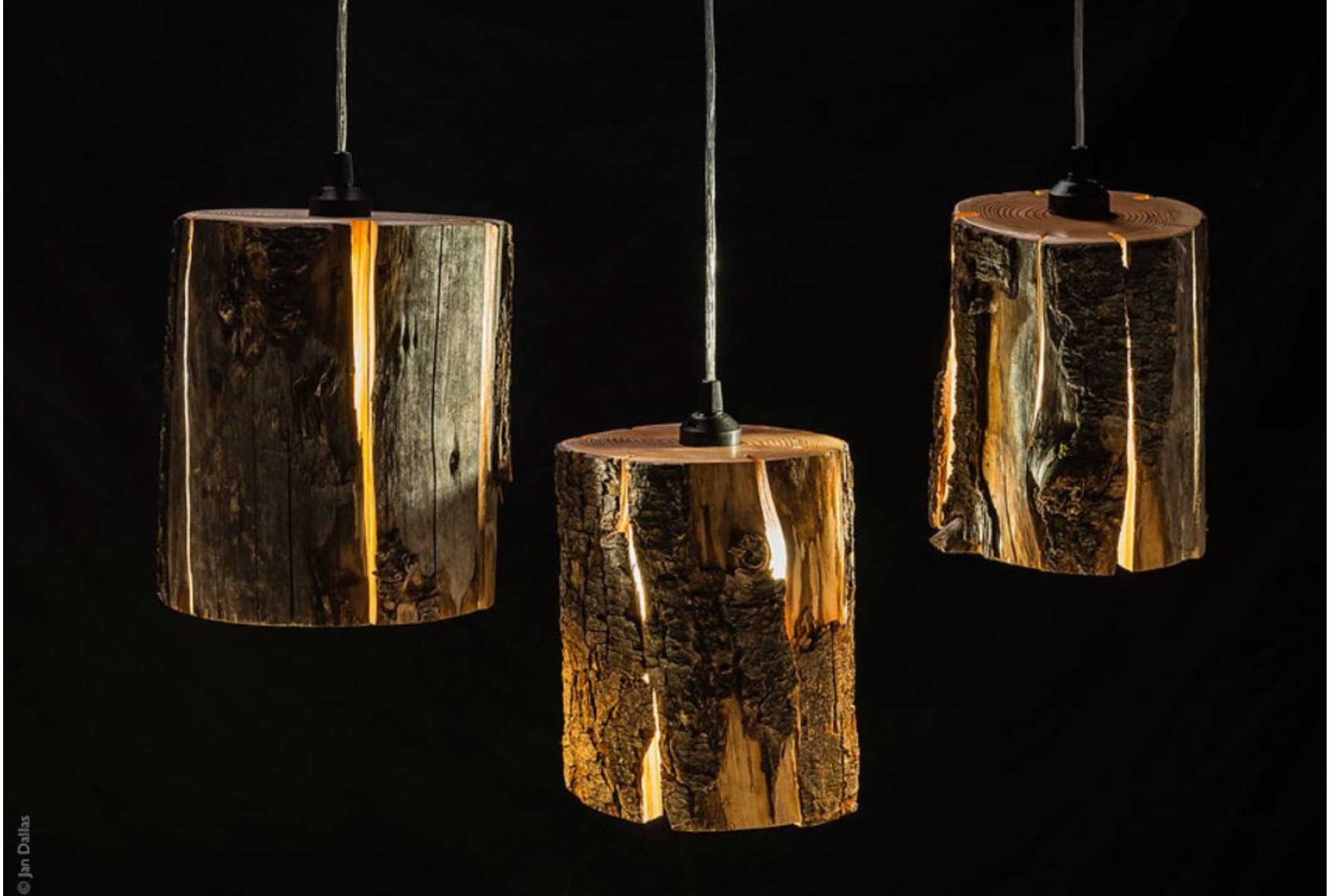 Cracked Log | Pendant Light