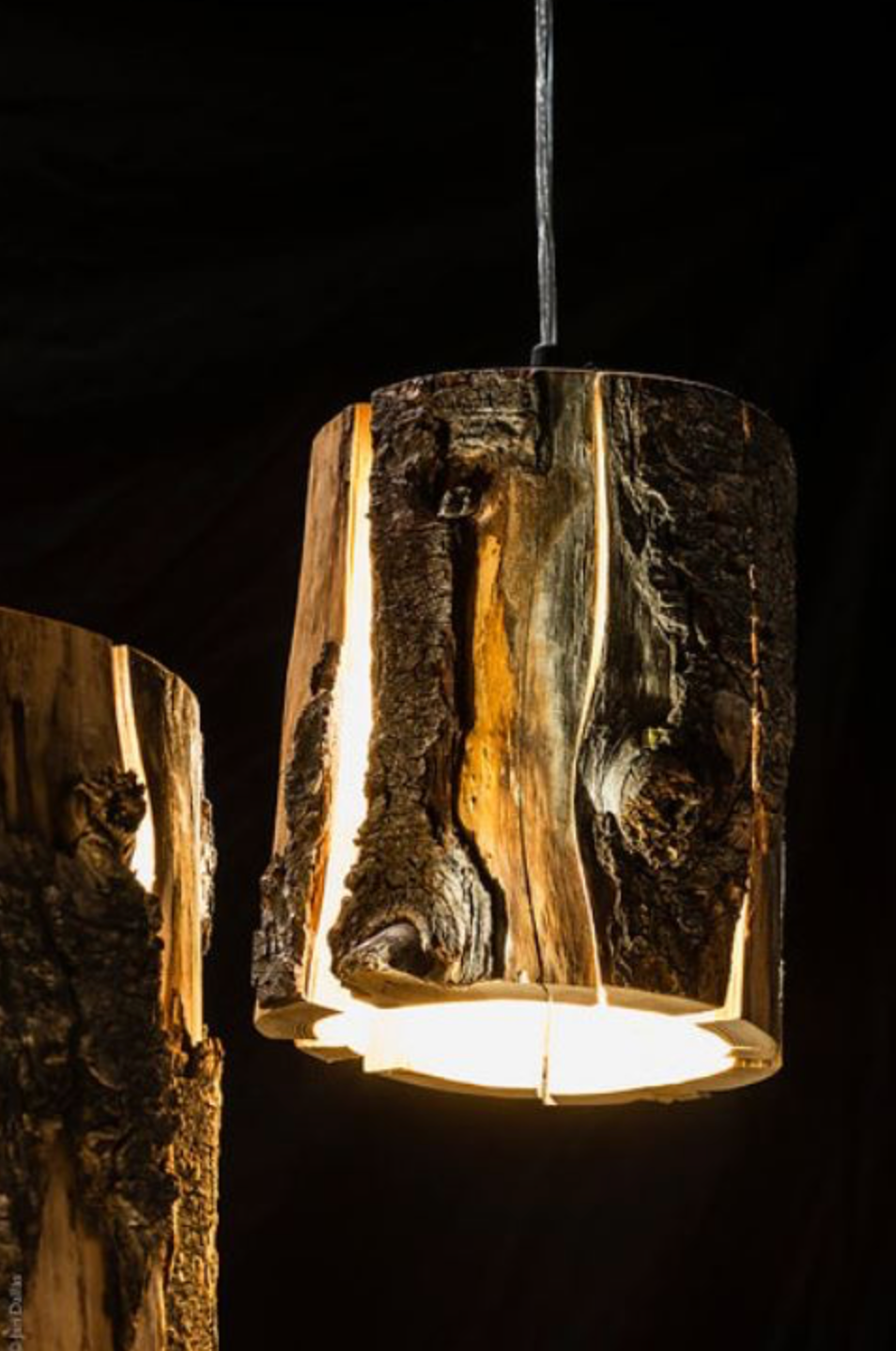 Cracked Log | Pendant Light